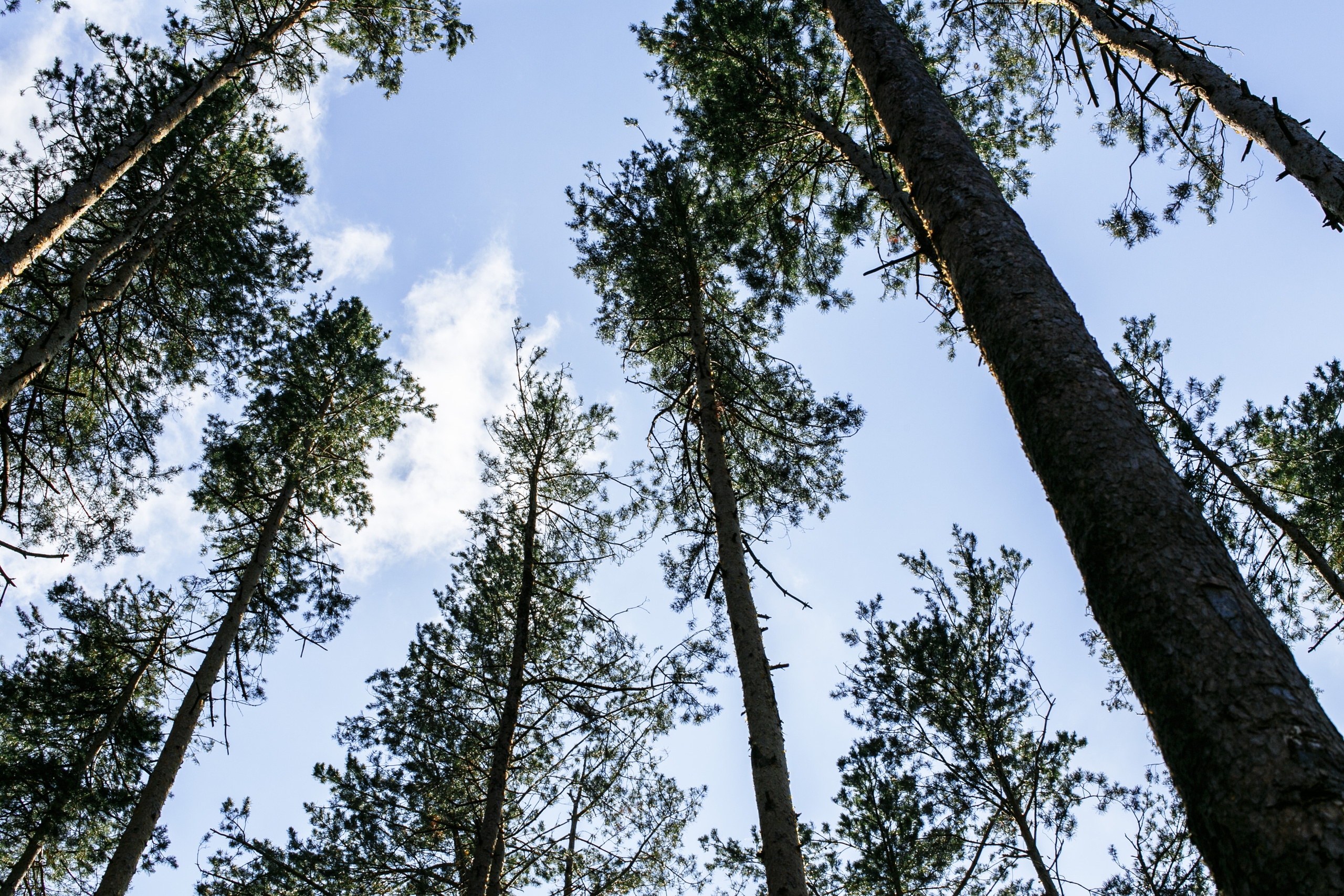 Свадебный фотограф Нижний Новгород. Свадебный фотограф в Нижнем Новгороде — Эдуард Смирнов