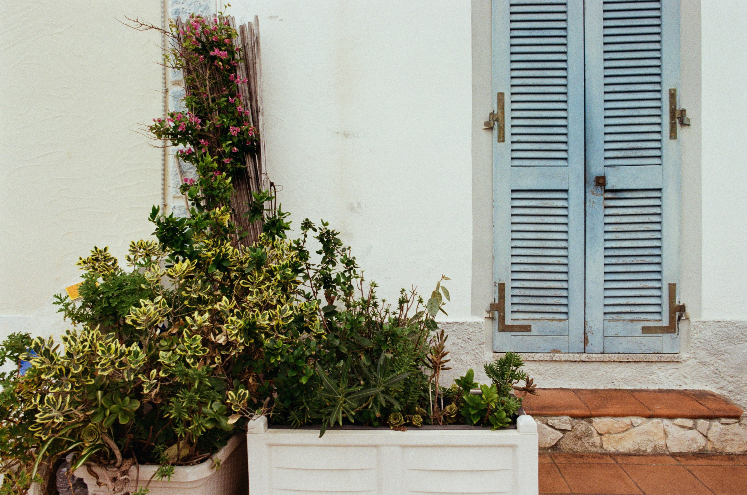 Moriro da re // sardinia, st teresa gallura. EVER EXPOSED