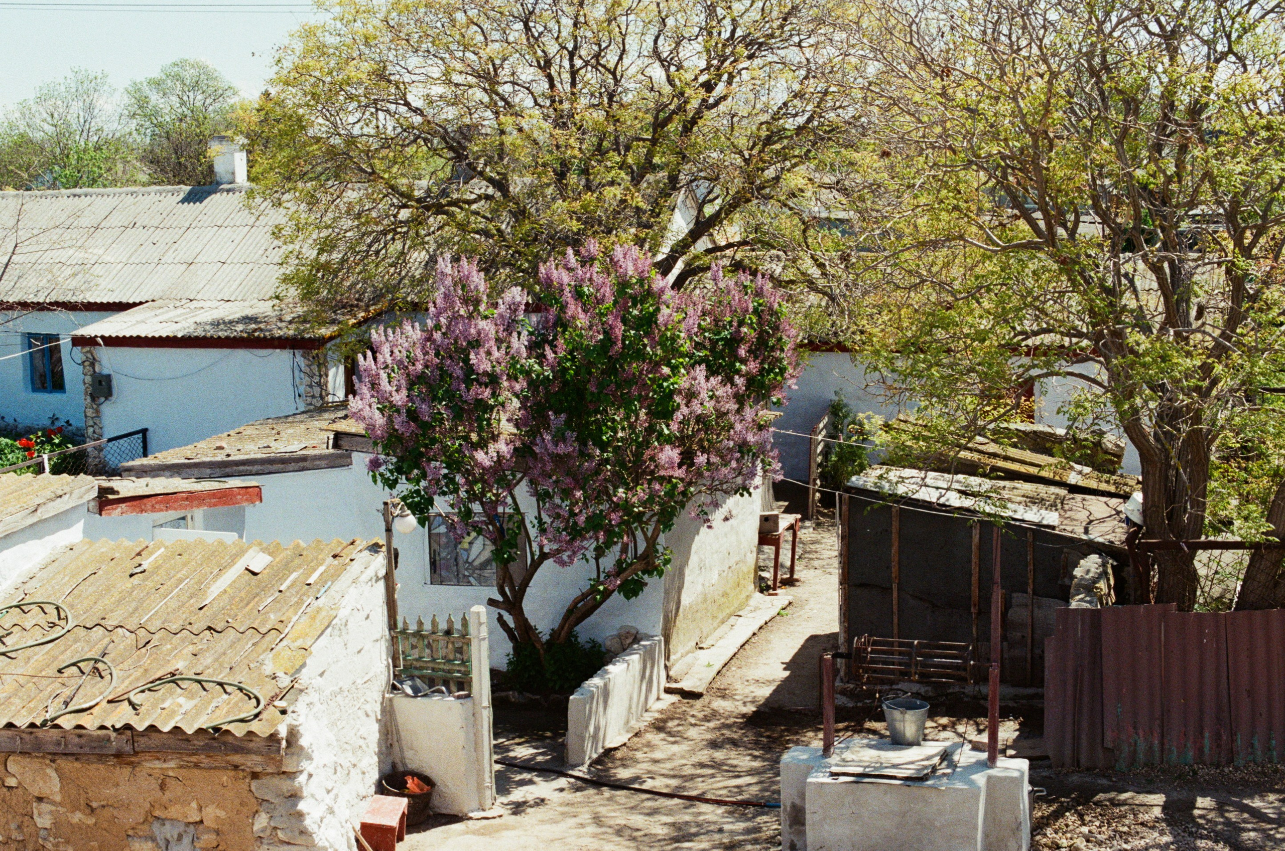 Some kind of madness // ukraine, crimea V. EVER EXPOSED