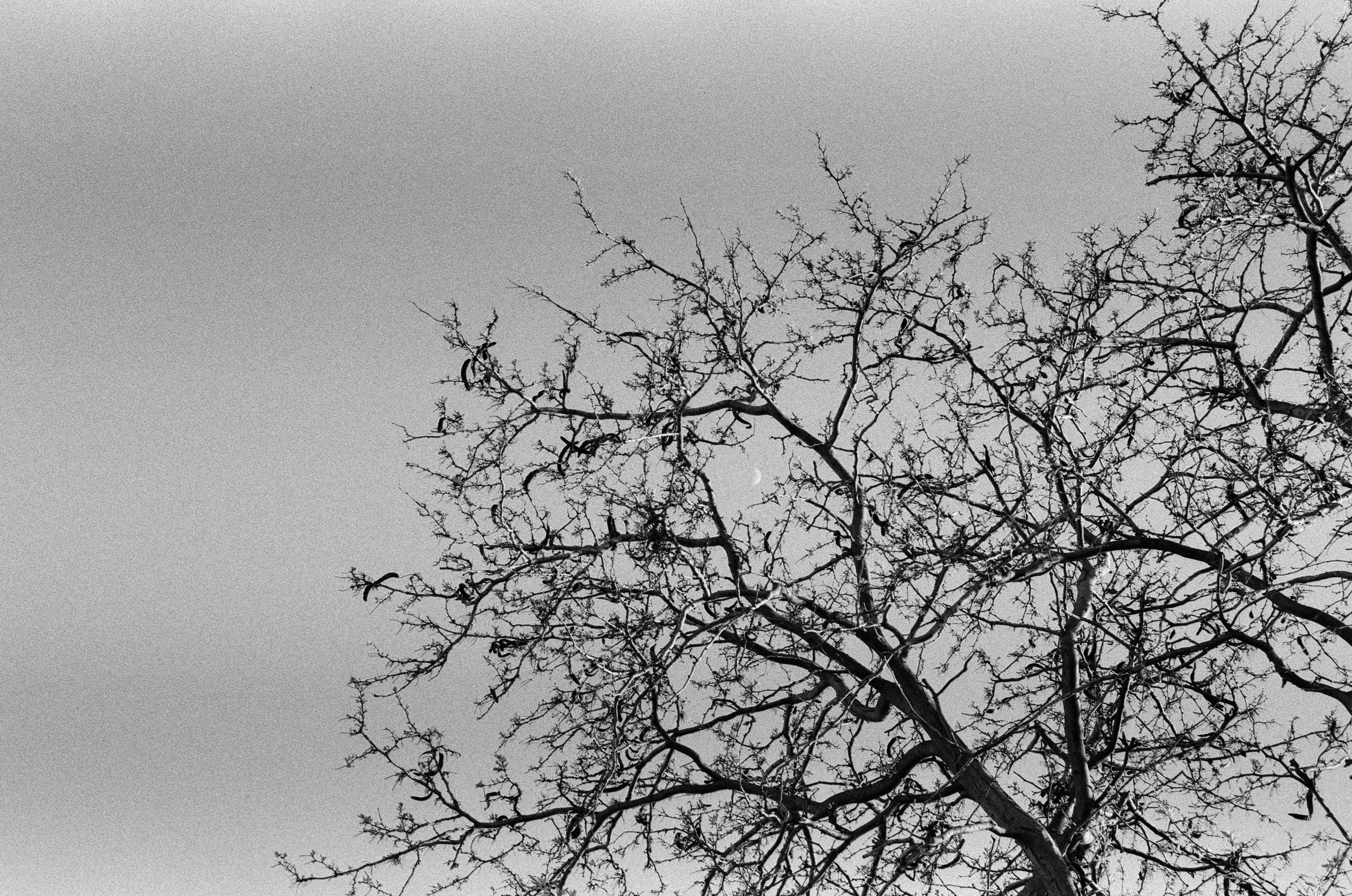 Oblomki chuvstv // ukraine, crimea IV. EVER EXPOSED