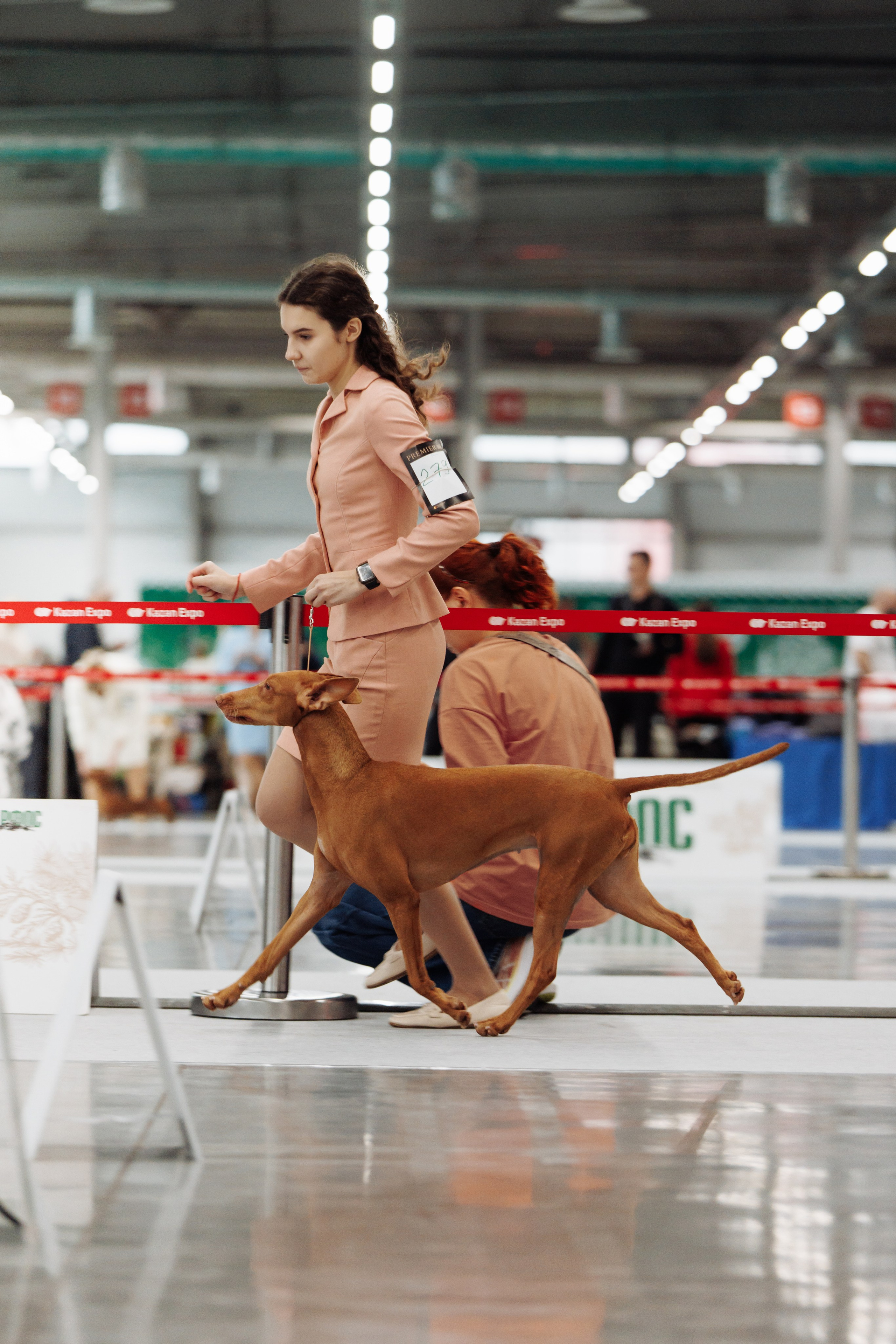 29-30.11.2025 — Казань «Зилант». Фотограф-анималист Саша Вязьмина