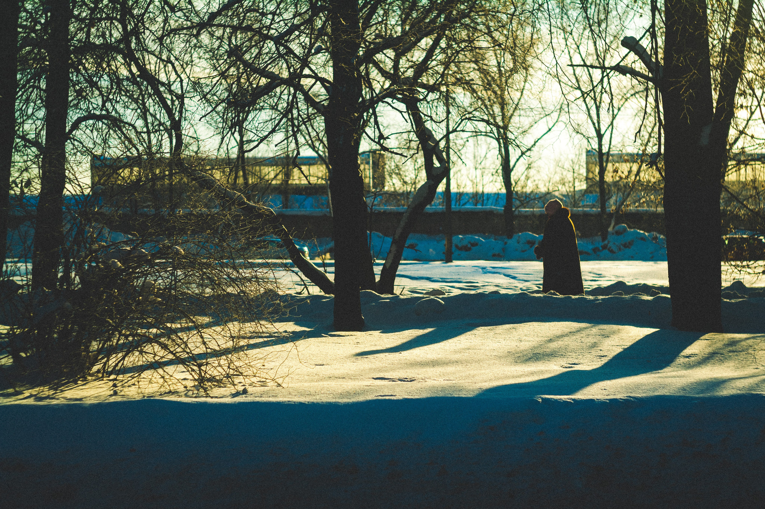 Замкнутые люди. Den Mirov — Фотограф, Музыкант