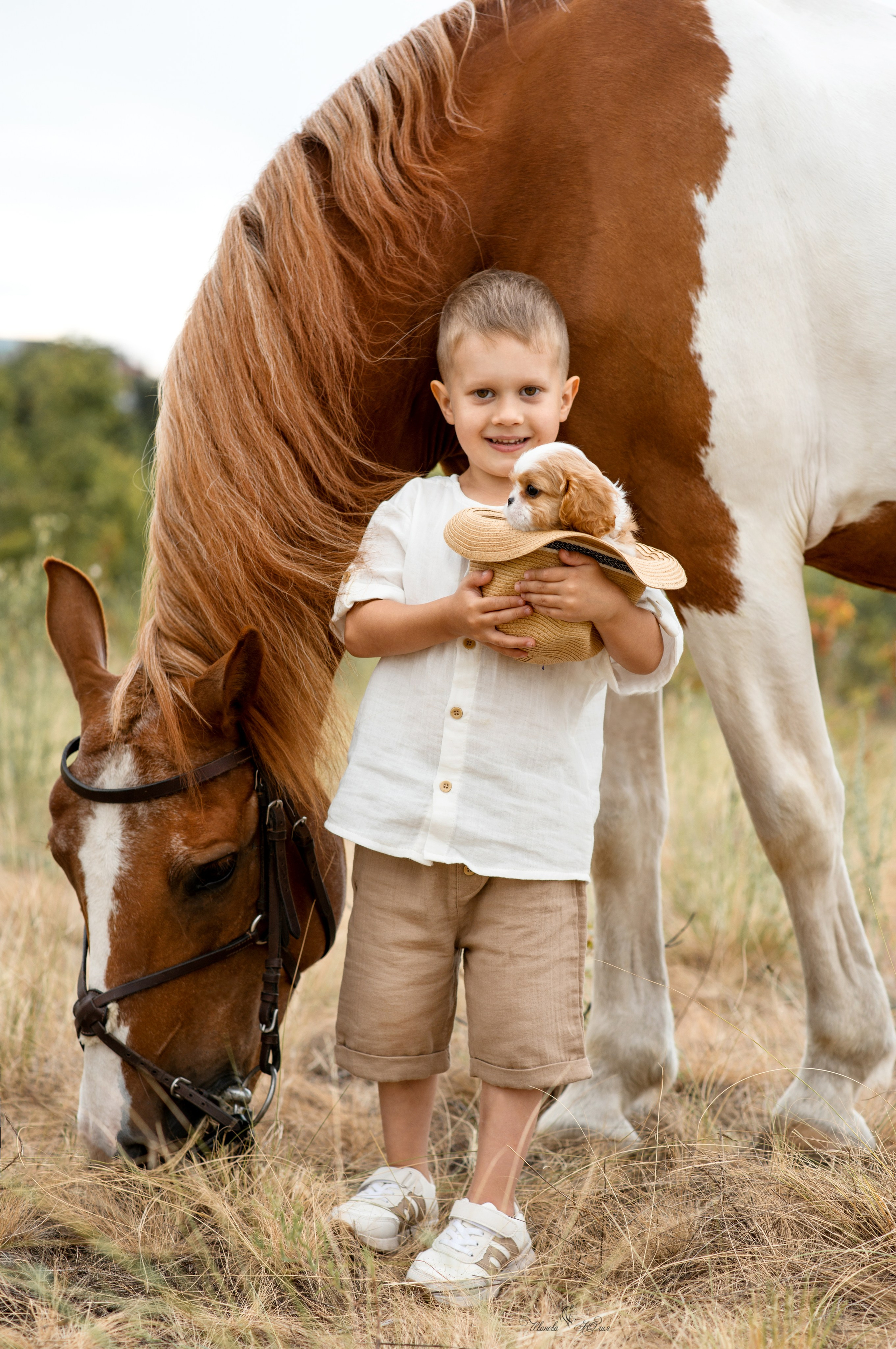 Арсений и Герда. Конный фотограф в Саратове Юлия Иванова