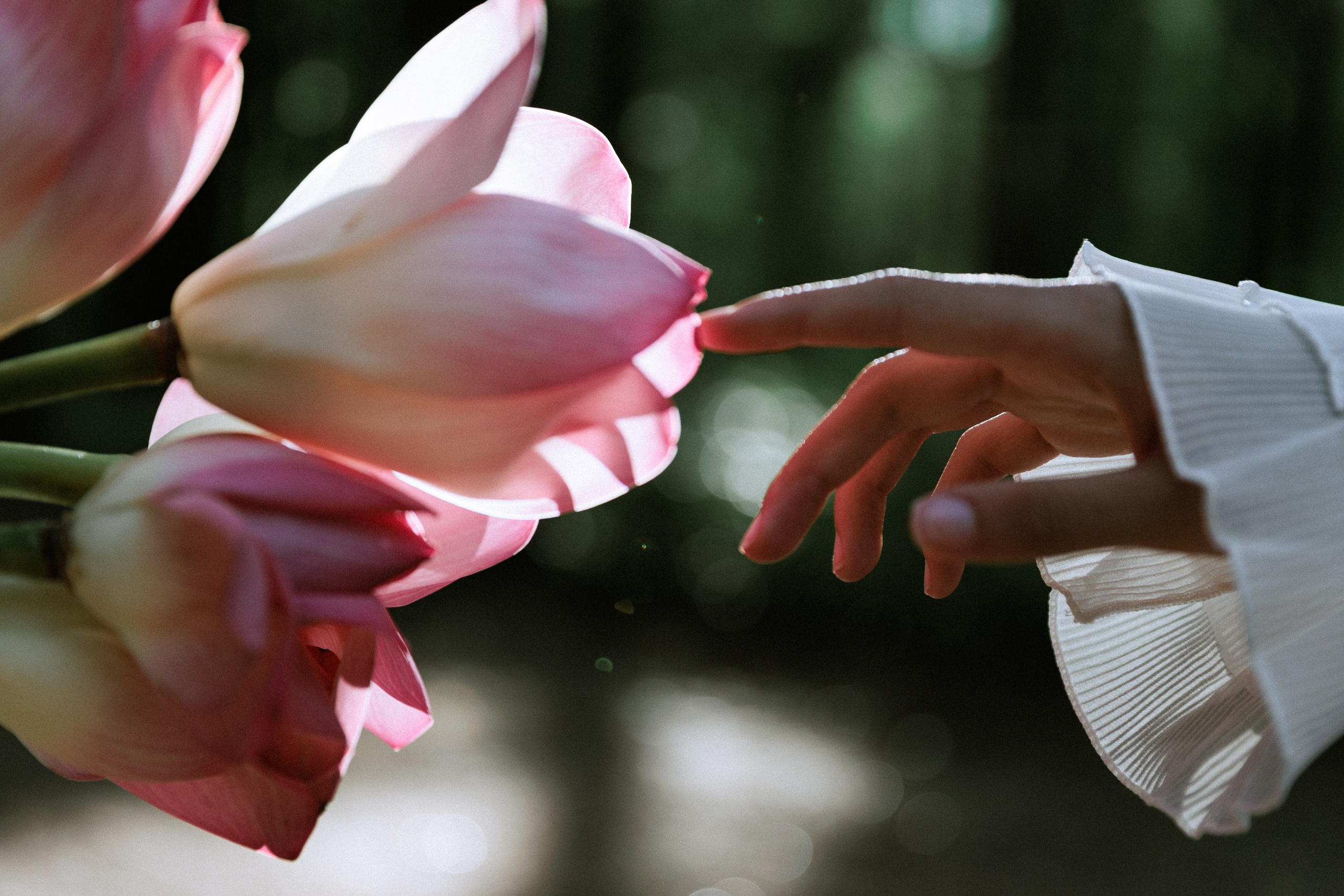 Диана. Фотограф в Москве Людмила Малова