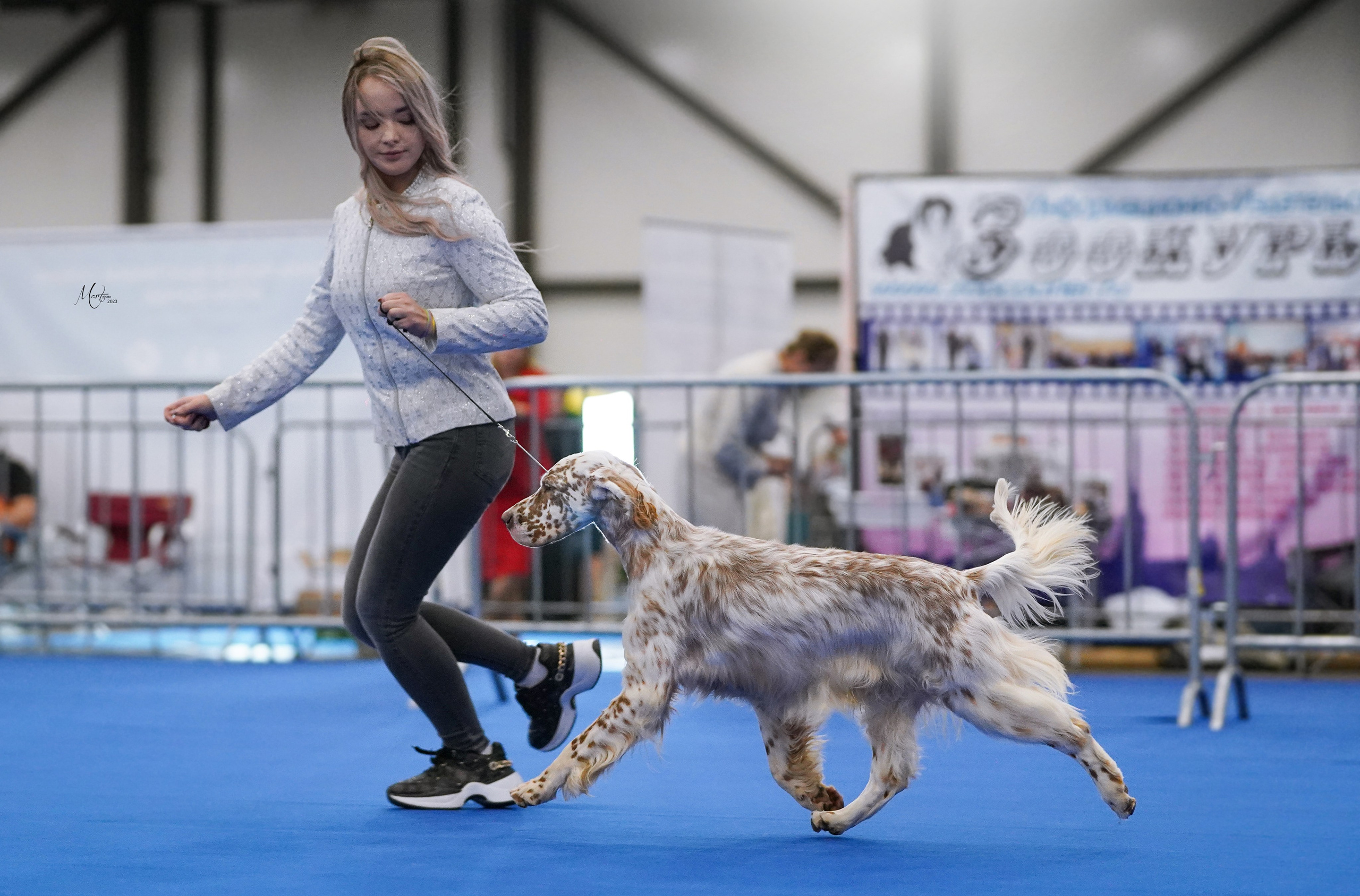 Выставки 2023. Фотограф-анималист в Санкт-Петербурге Яна Мартынова