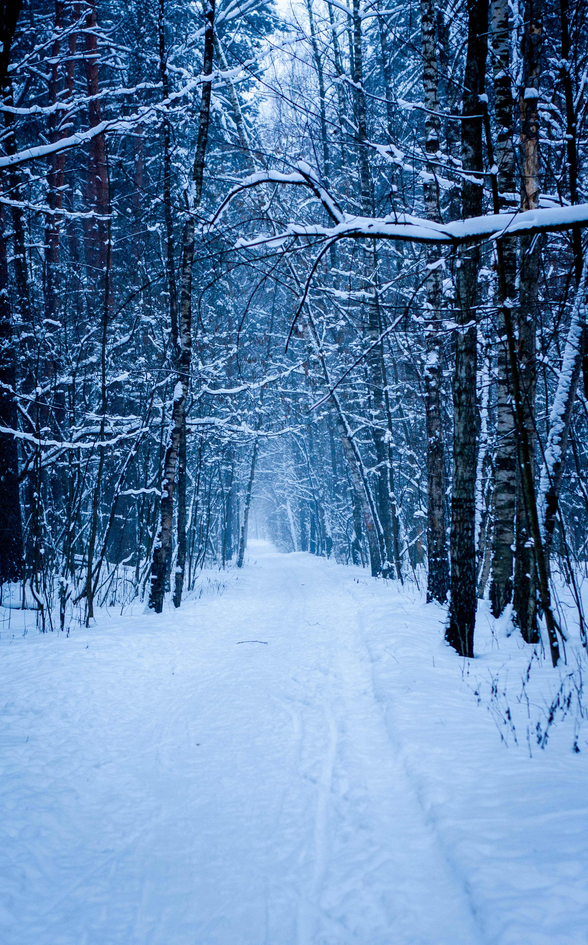 Природа, зверушки. Фотограф и кожевник Кирилл Удалов
