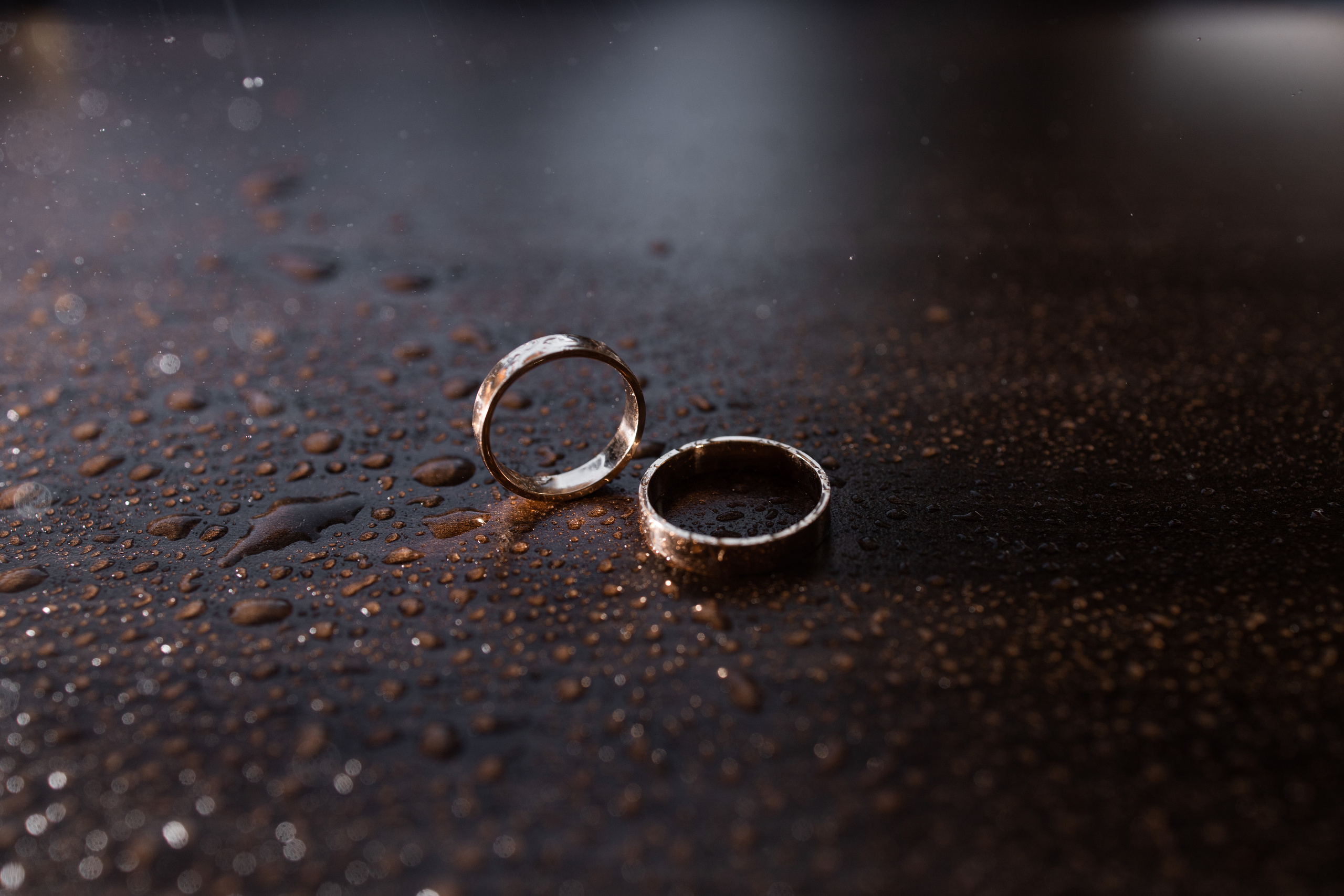 MIHAIL&ELIZAVETA. Валерия Солнцева свадебный и семейный фотограф