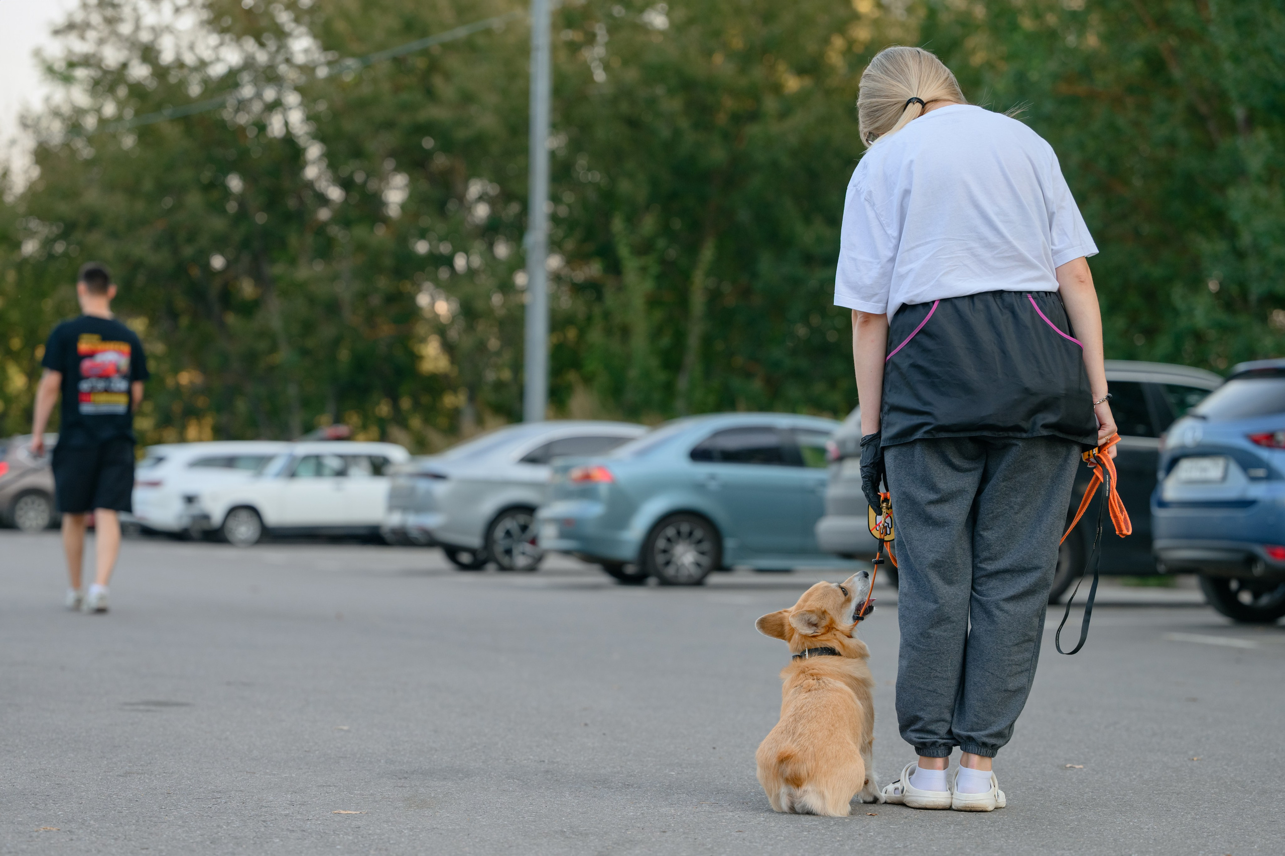 Катя группа. Семейный фотограф и анималист в Москве и Московской области