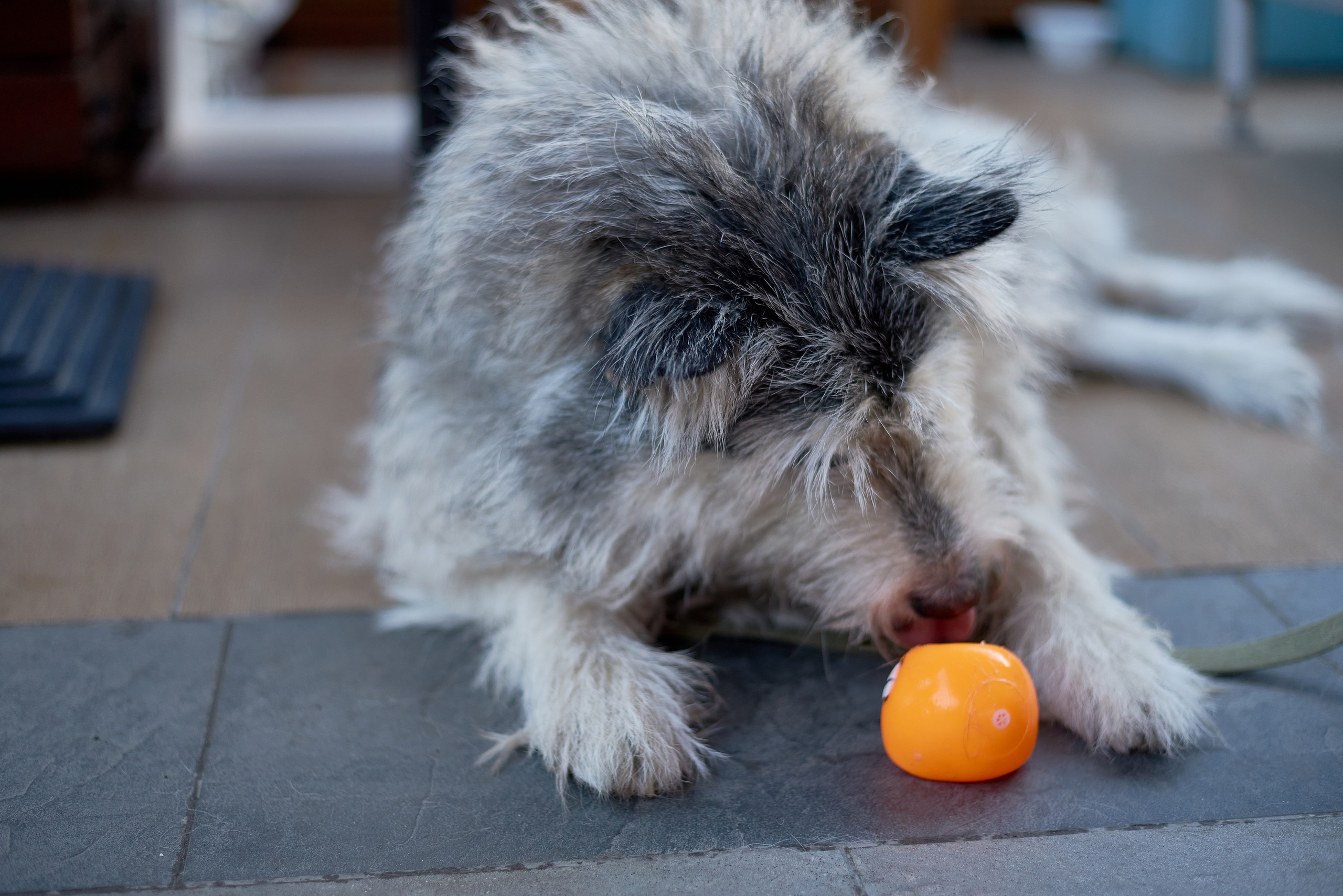 CONСЕРТИКА Маркет. Фотограф Новочеркасск Ростов Карина Чернова