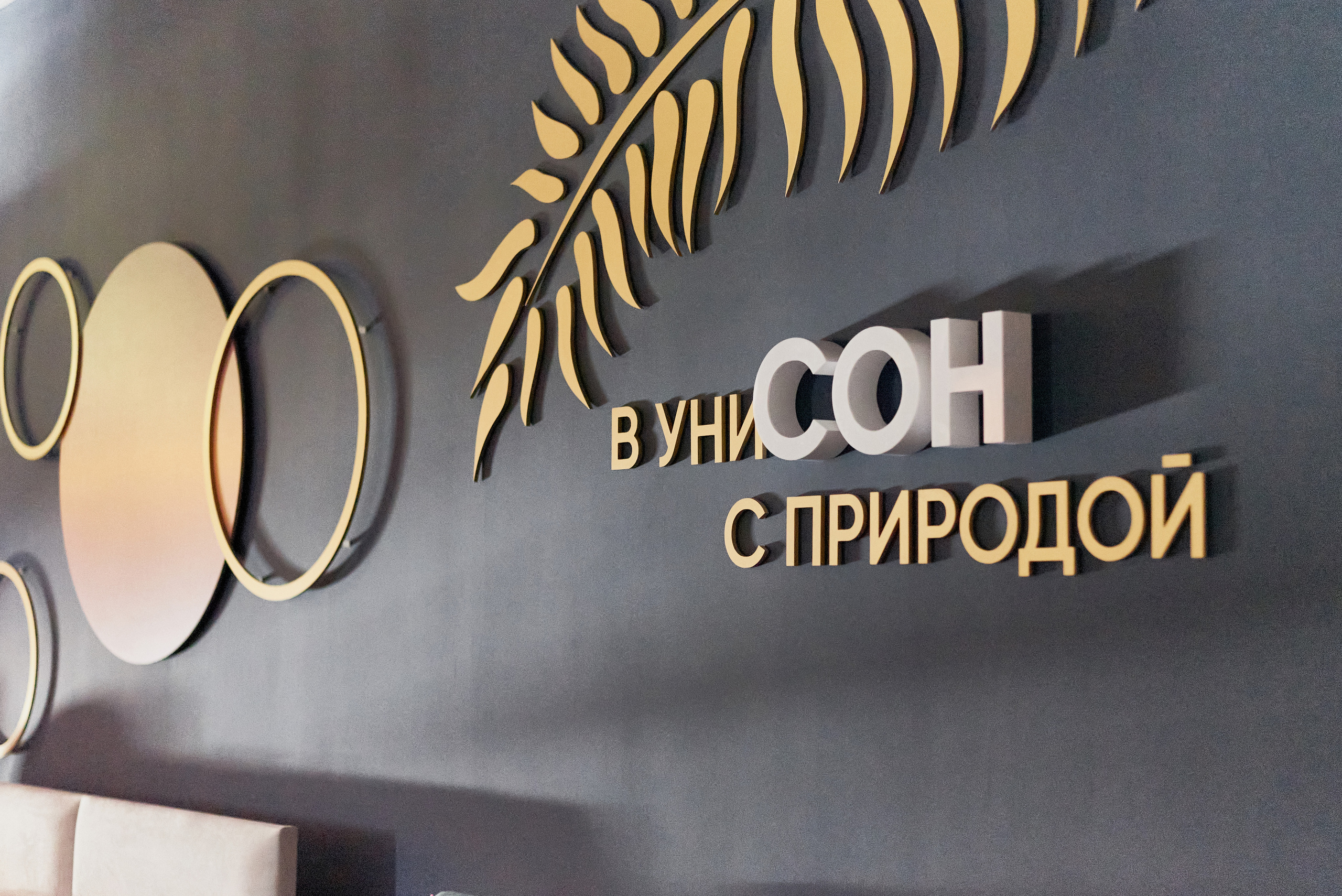 Аскона. 5 лет. Фотограф Новочеркасск Ростов Карина Чернова