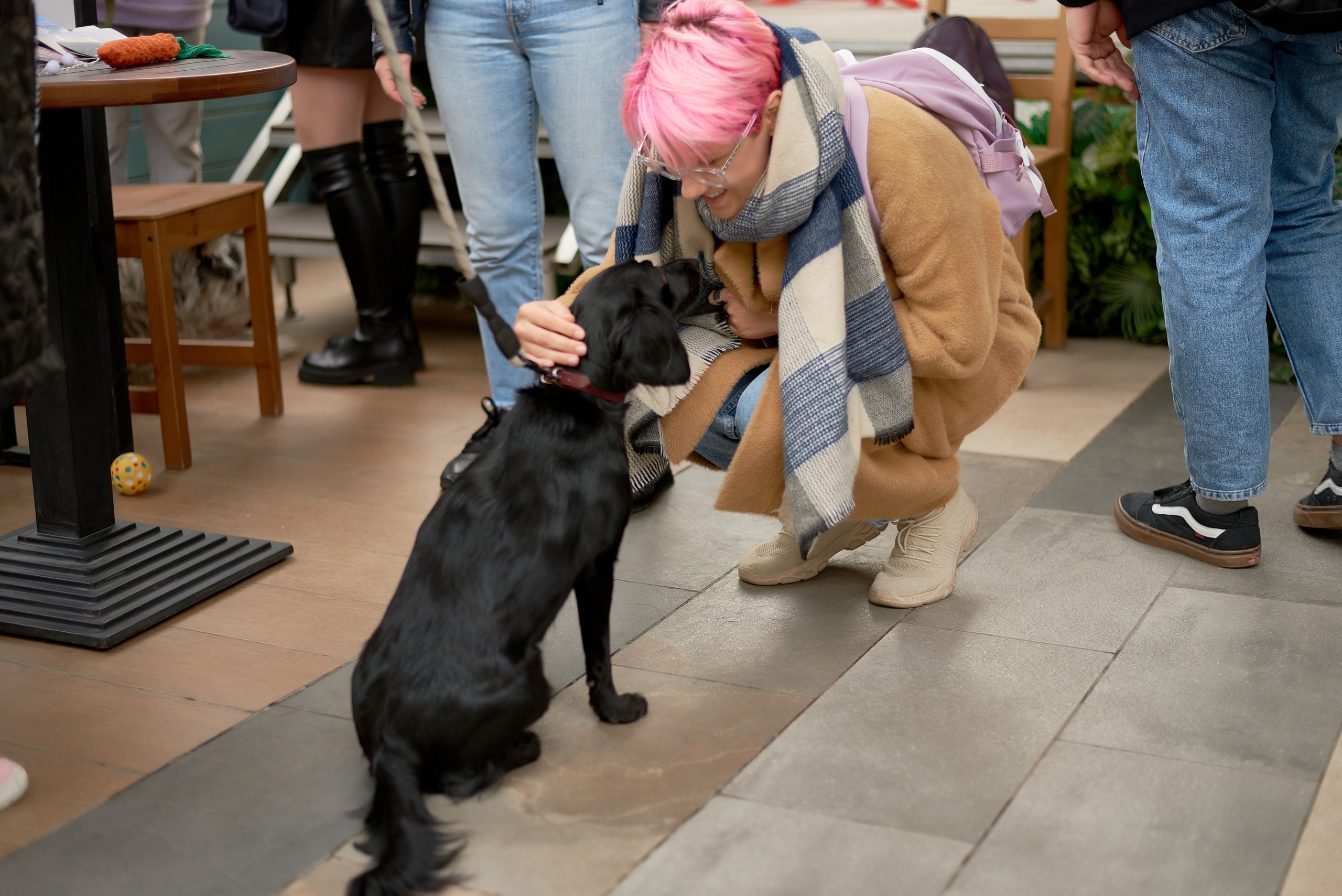 CONСЕРТИКА Маркет. Фотограф Новочеркасск Ростов Карина Чернова