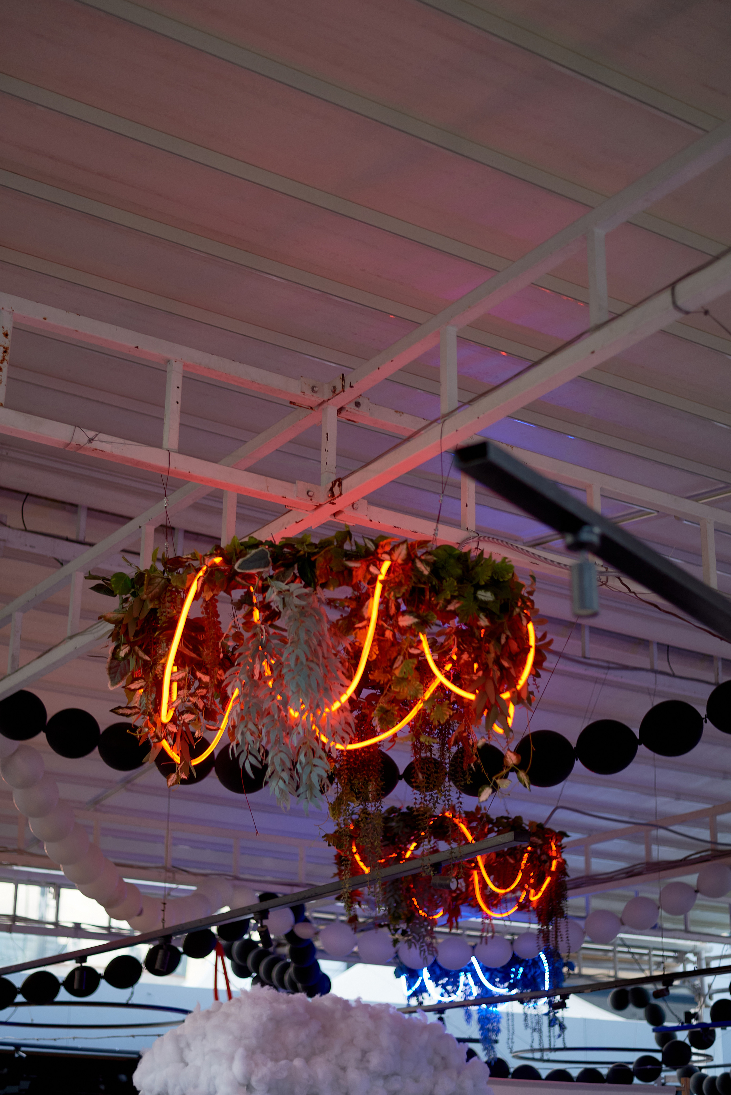 CONСЕРТИКА Маркет. Фотограф Новочеркасск Ростов Карина Чернова