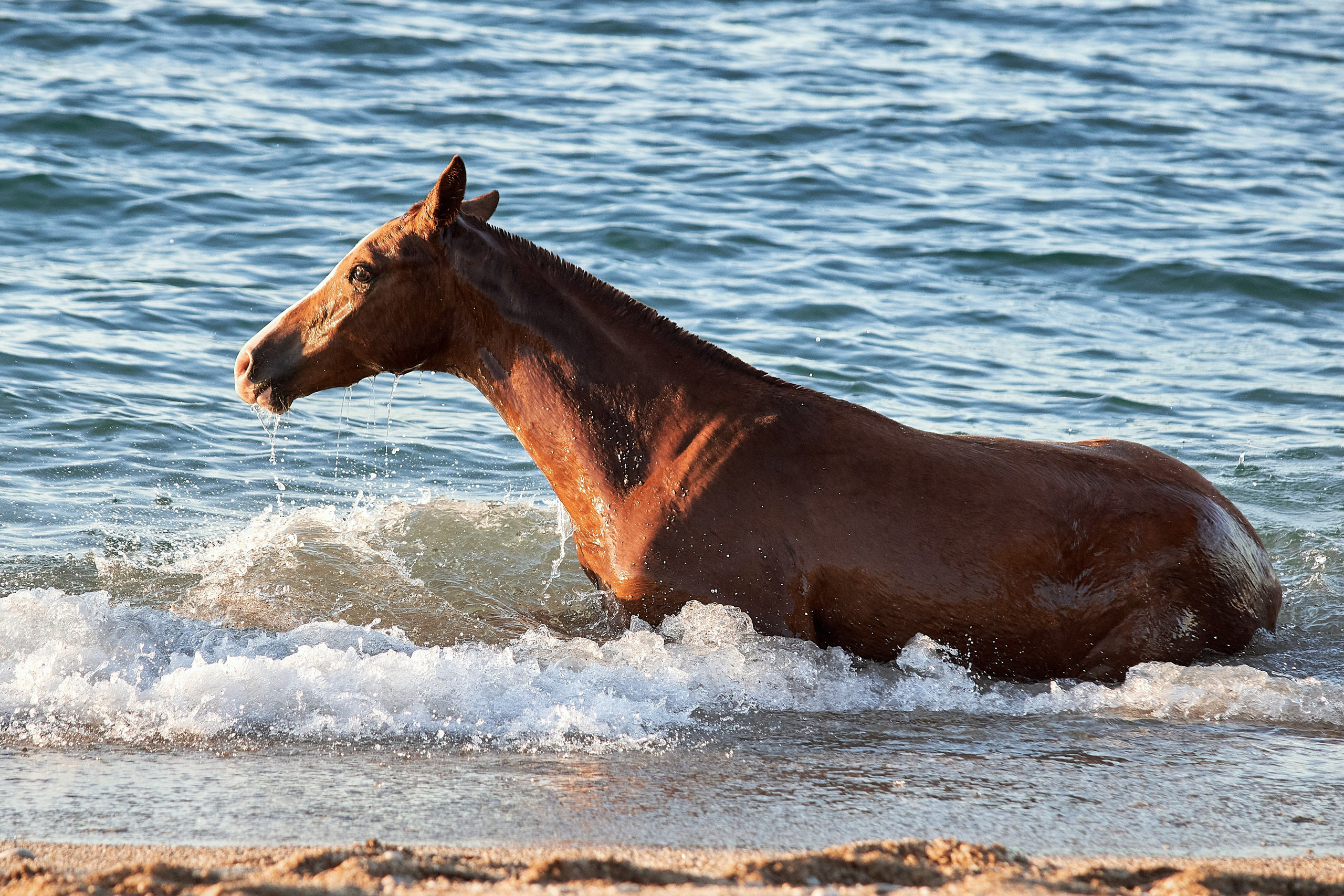 Галактика и Кассиопея. Фотограф в Севастополе