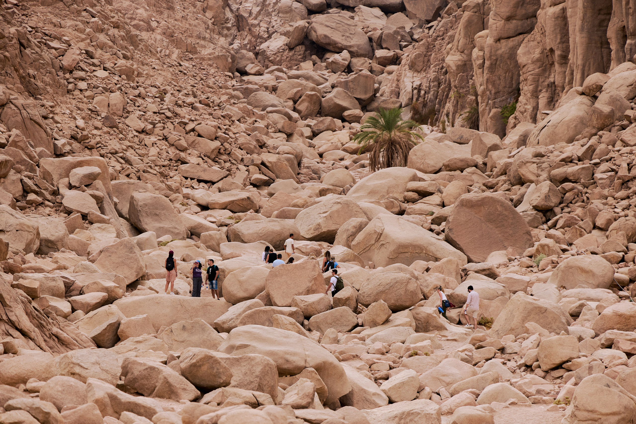 Другое 3. Jorgis — фотограф в Хургаде / обучение фотографии
