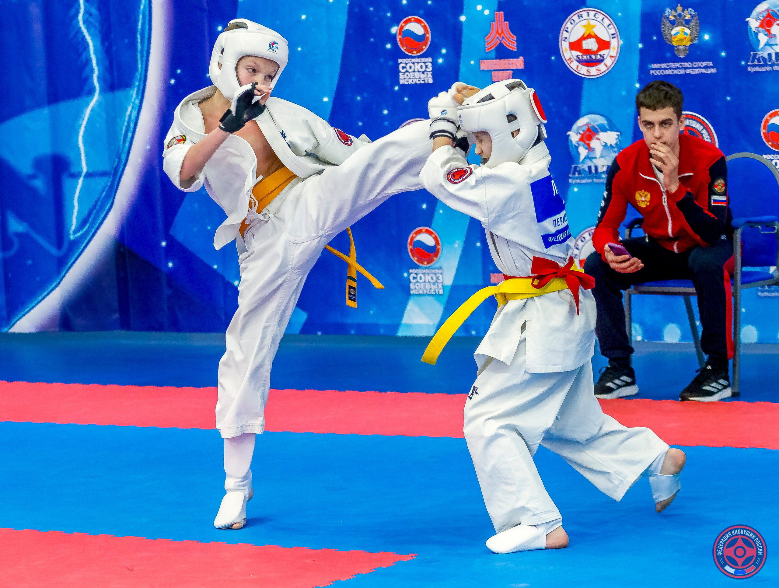 Международный турнир по киокушин «Открытый кубок Seiken». Репортажная съемка в Москве и области. Анималистика