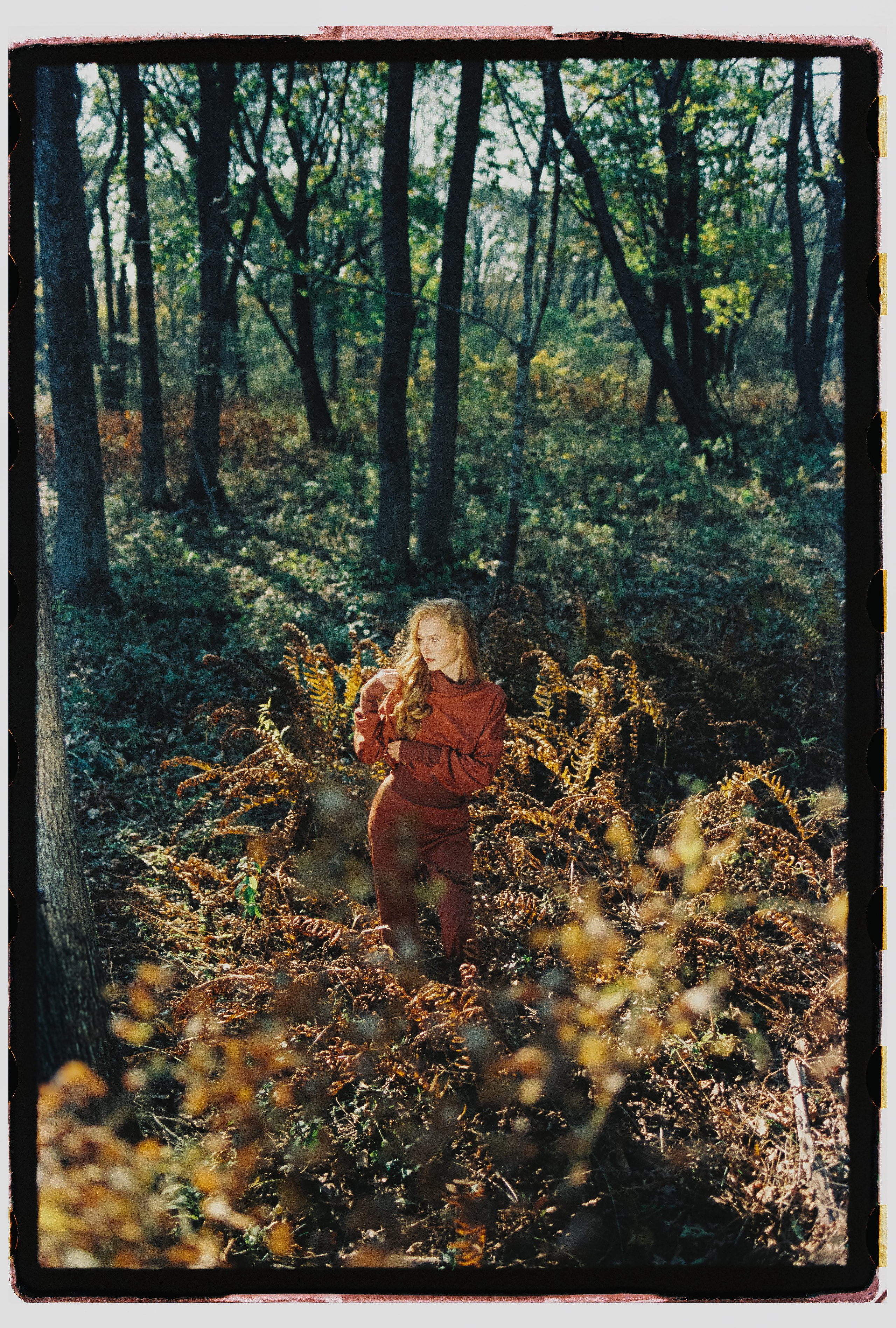 Поляна раздора