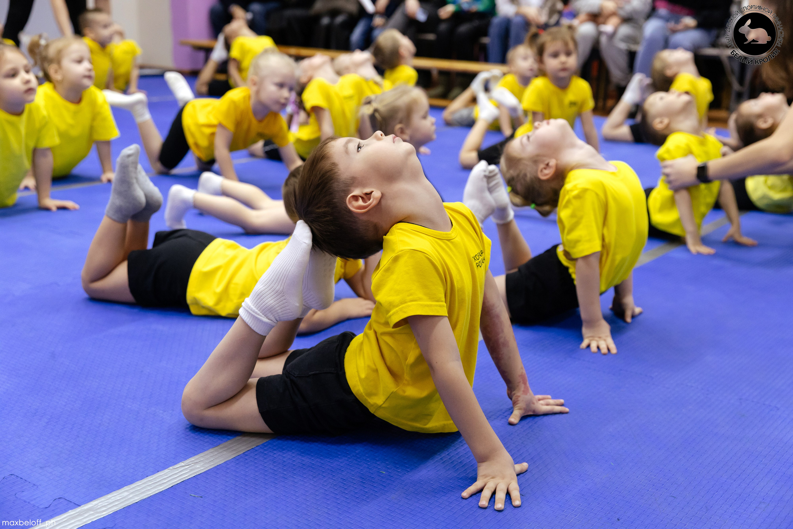 Белый кролик. Соревнования. Семейный фотограф — Макс Белогрудов