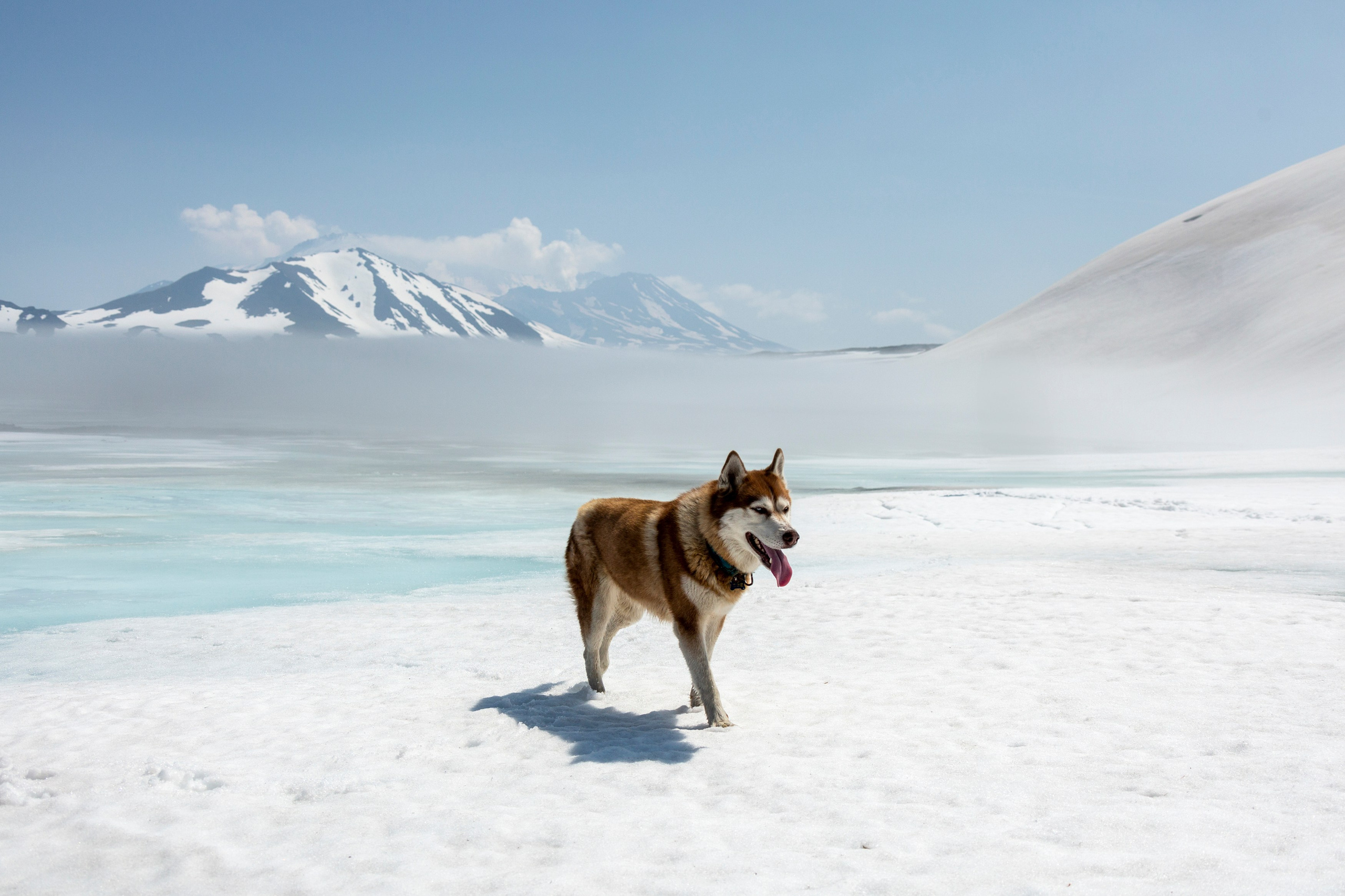 Каньон Опасный — редкое природное чудо Камчатки. Время Камчатки: чтобы найти свой путь, нужно скорость умножить на время