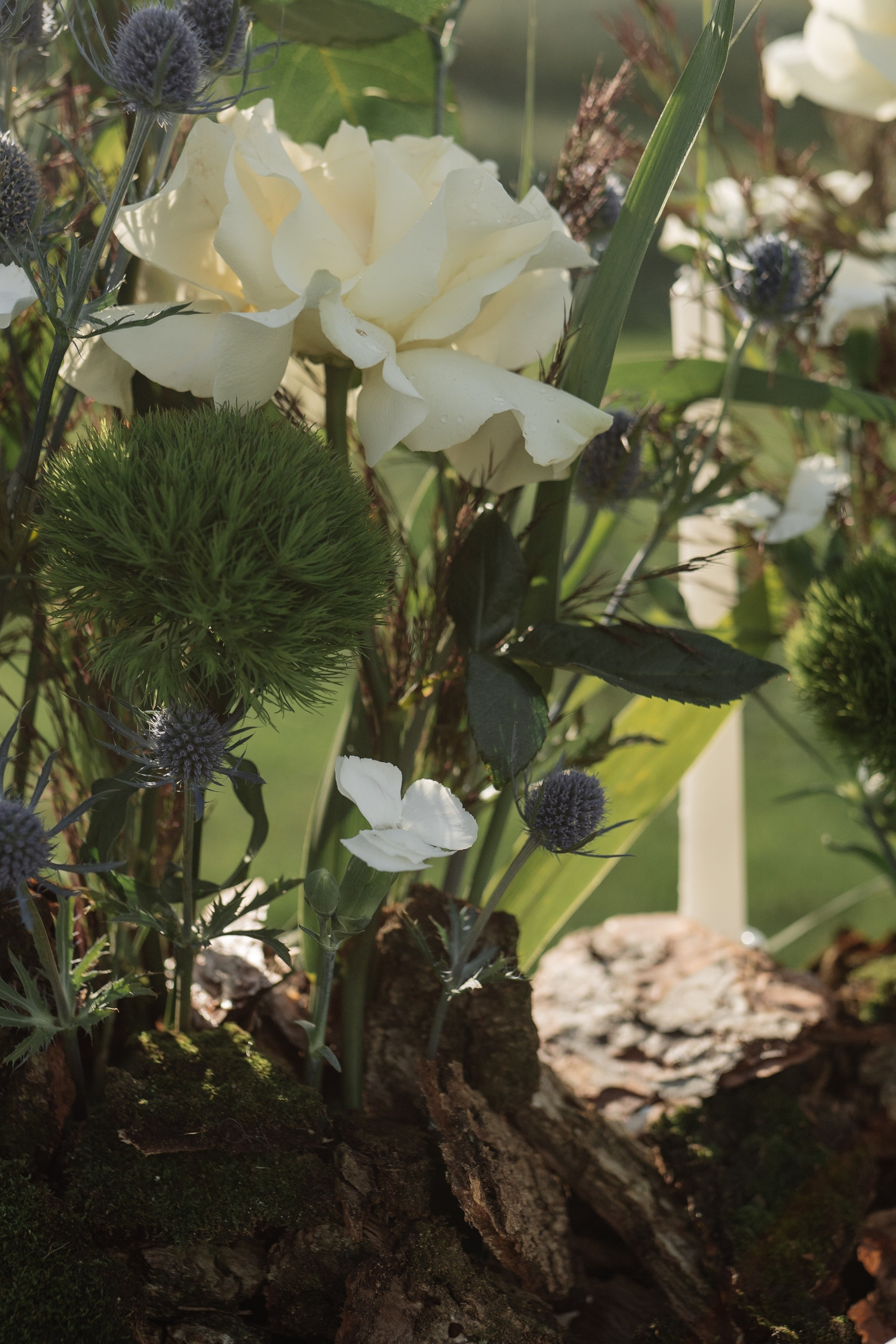 Vlasenko. Свадебный фотограф Тольятти Москва Адамова Виктория