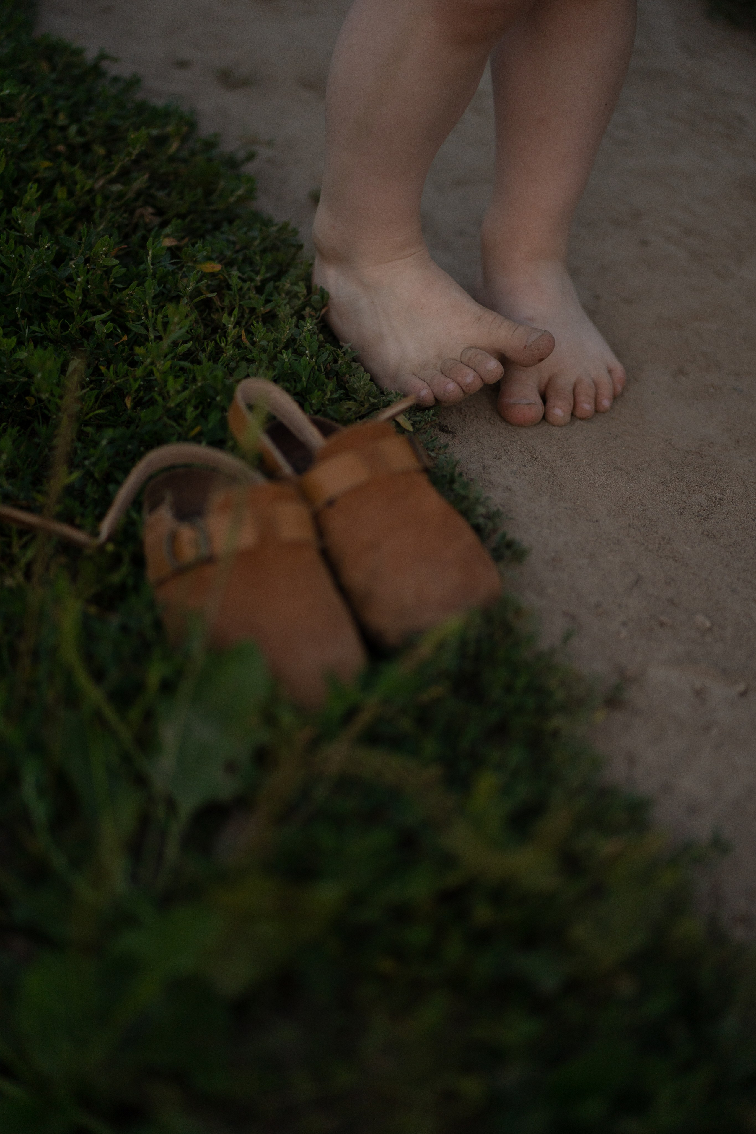 Светлана и Арсений. Фотограф Катя Стрельцова