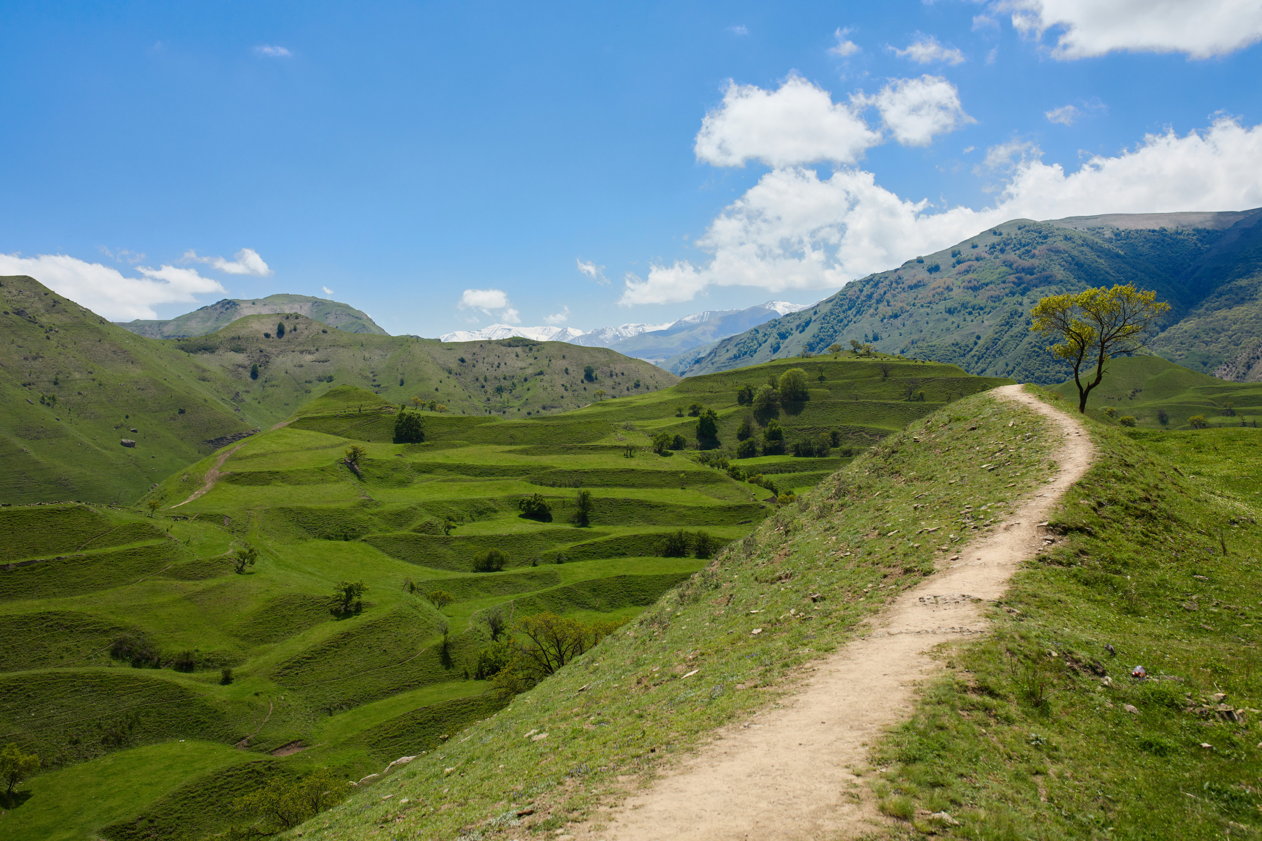 Таня и Миша | Дагестан. Wedding videographer in Europe and Russia Ilya Novikov