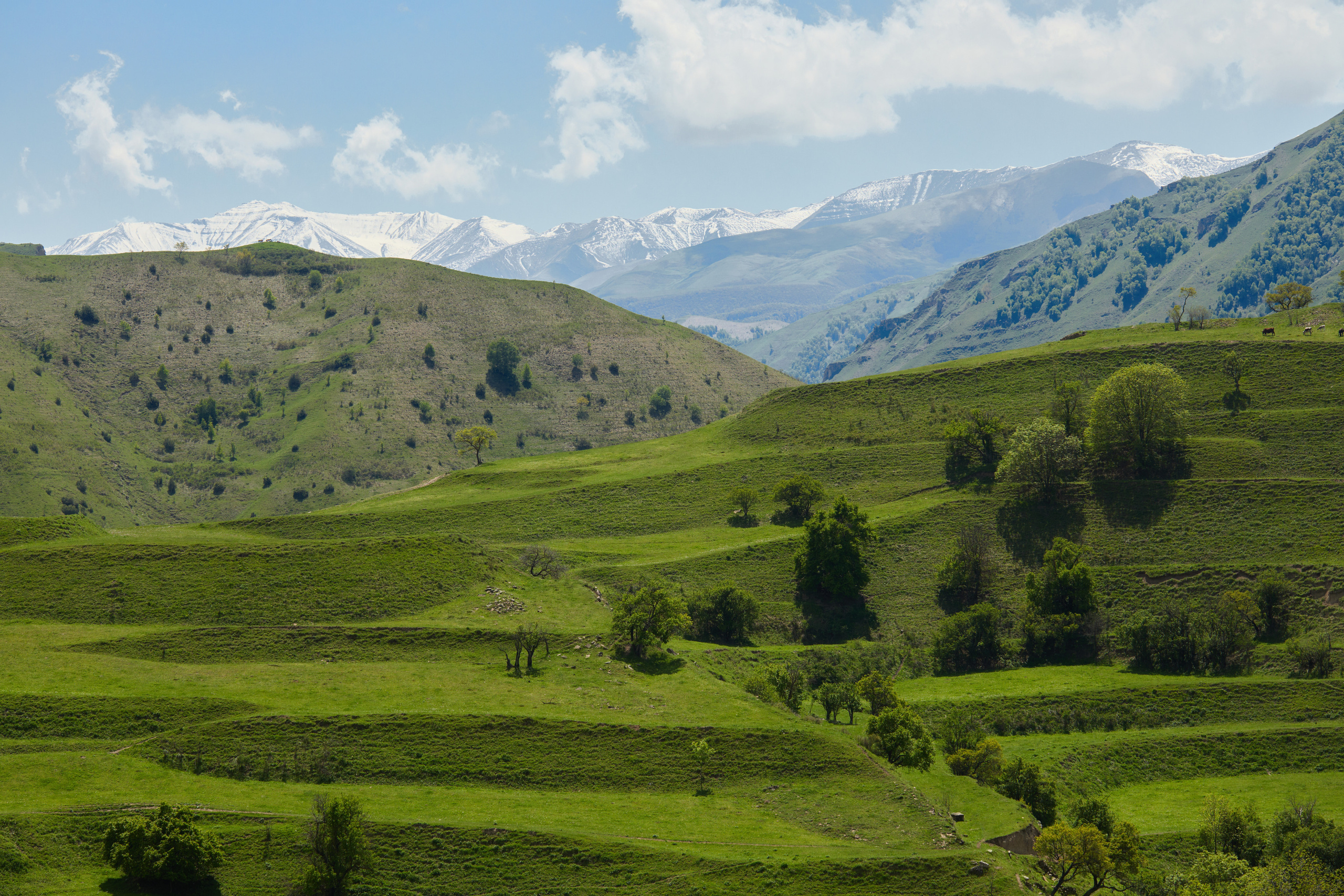 Таня и Миша | Дагестан. Wedding videographer in Europe and Russia Ilya Novikov