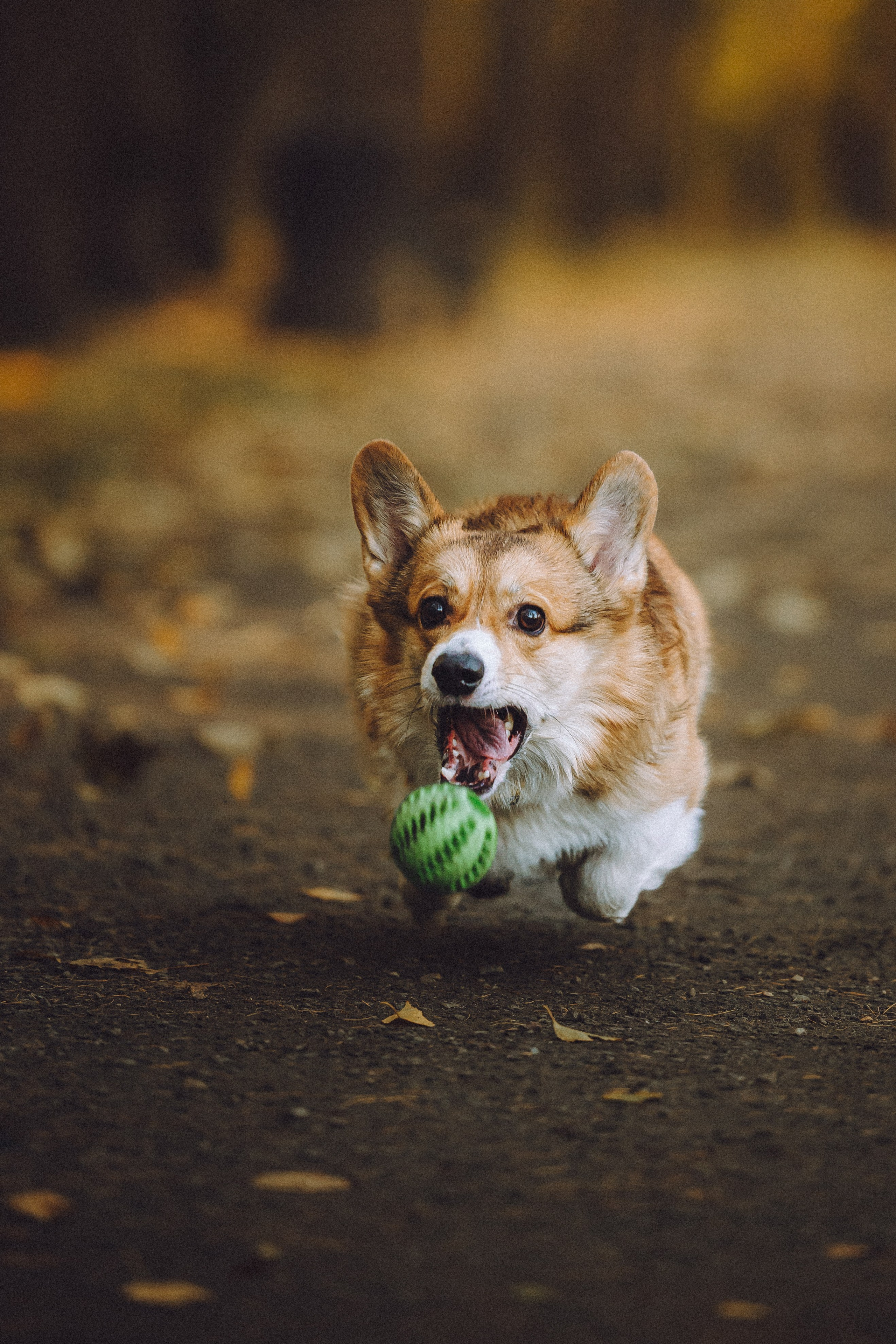 Карина, Даня и Аркаша