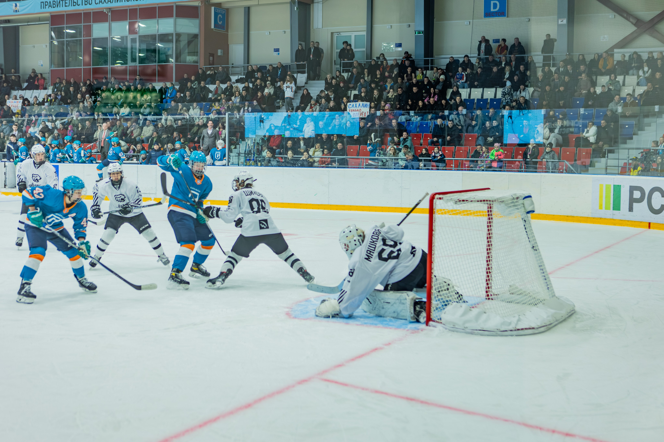 Матч «Сахалин"-"Белые Медведицы». Свадебный фотограф в Южно-Сахалинске Валерий Харченко