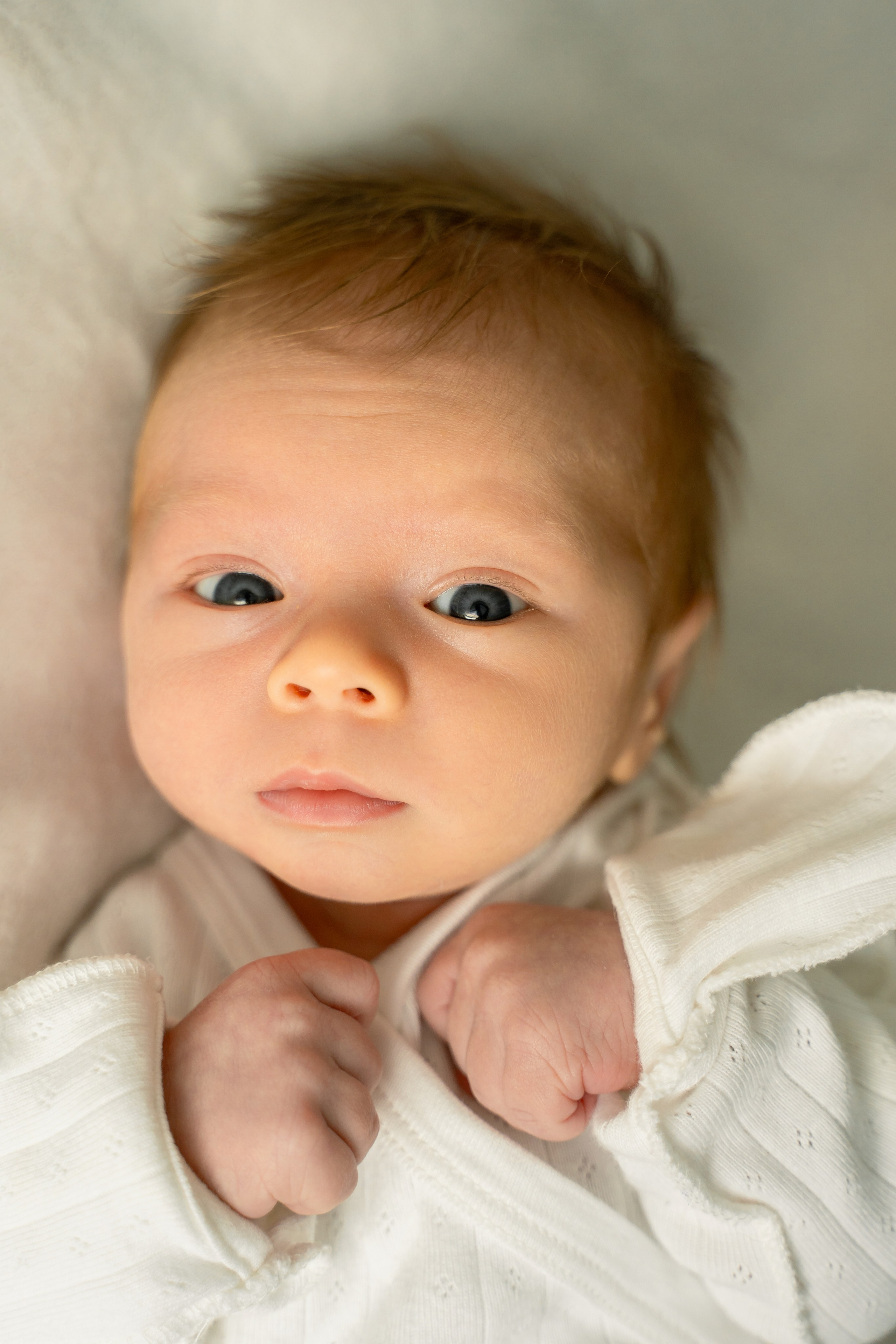 Пакет № 1 Базовый. Фотограф Москва Подольск МО