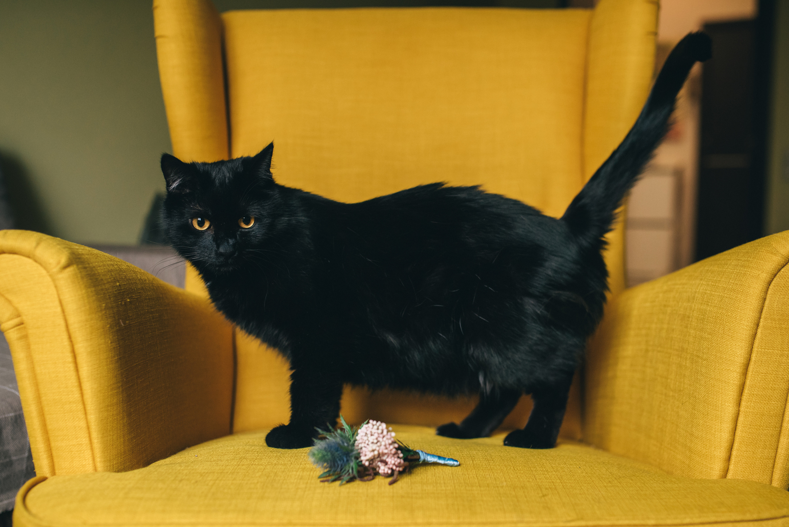 Свадьба Вани и Юли. Свадебный и Семейный фотограф в Санкт-Петербурге Марина Заборовская