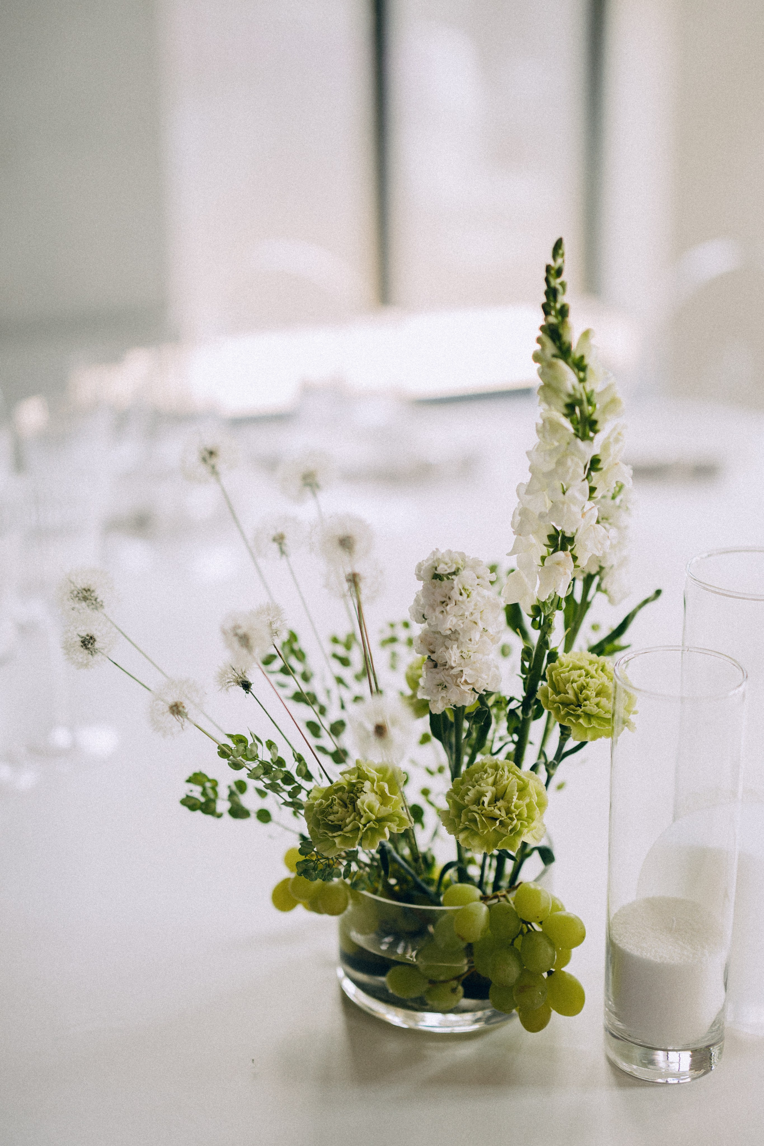 Dandelions. Daria Chigintseva Photographer