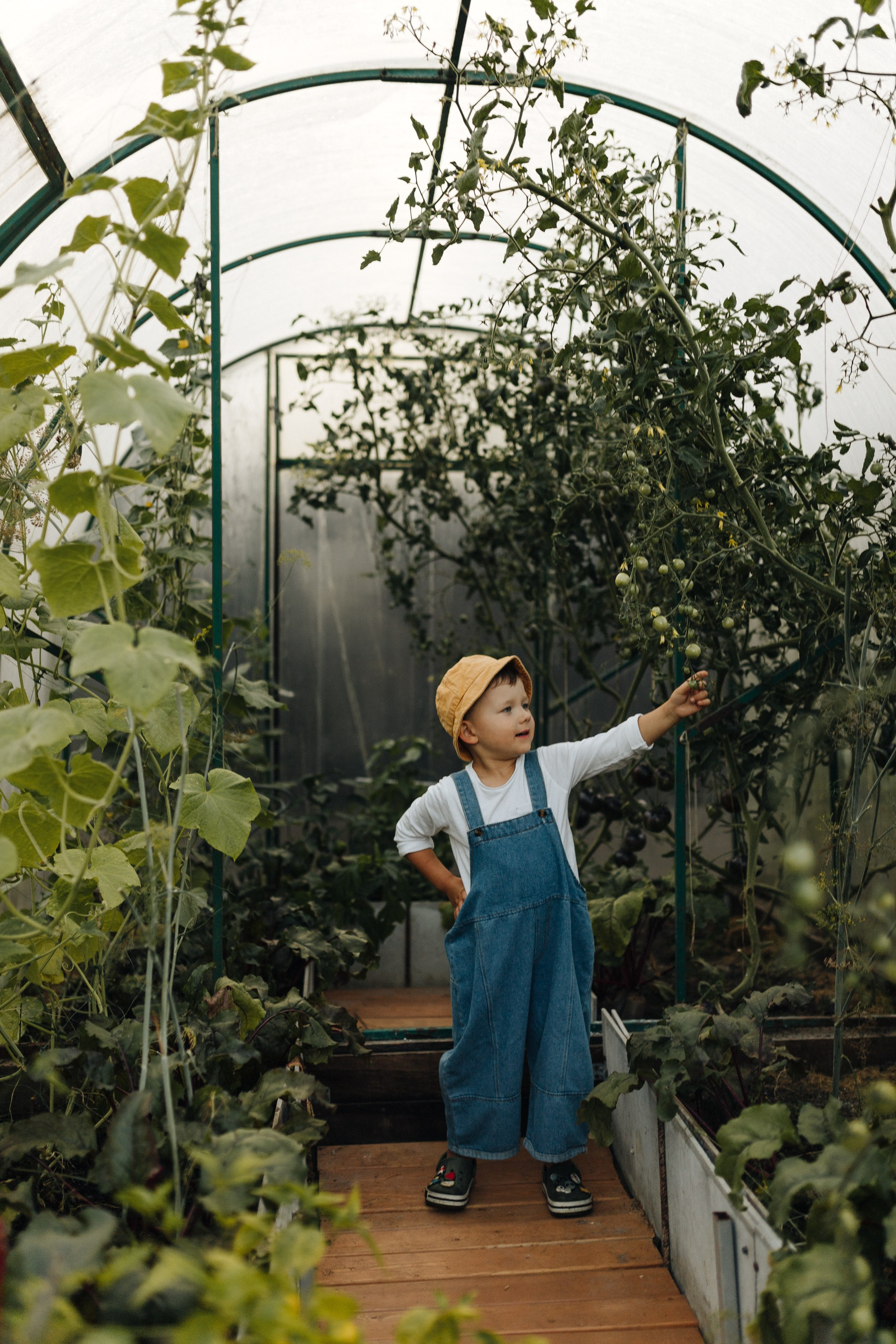 Дачники. Главная