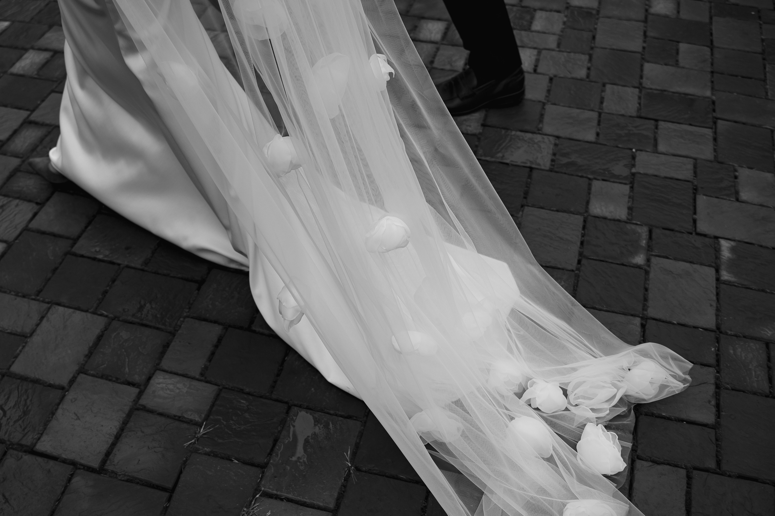 Павел & Анна. Свадебный фотограф в Новосибирске Алена Цизман