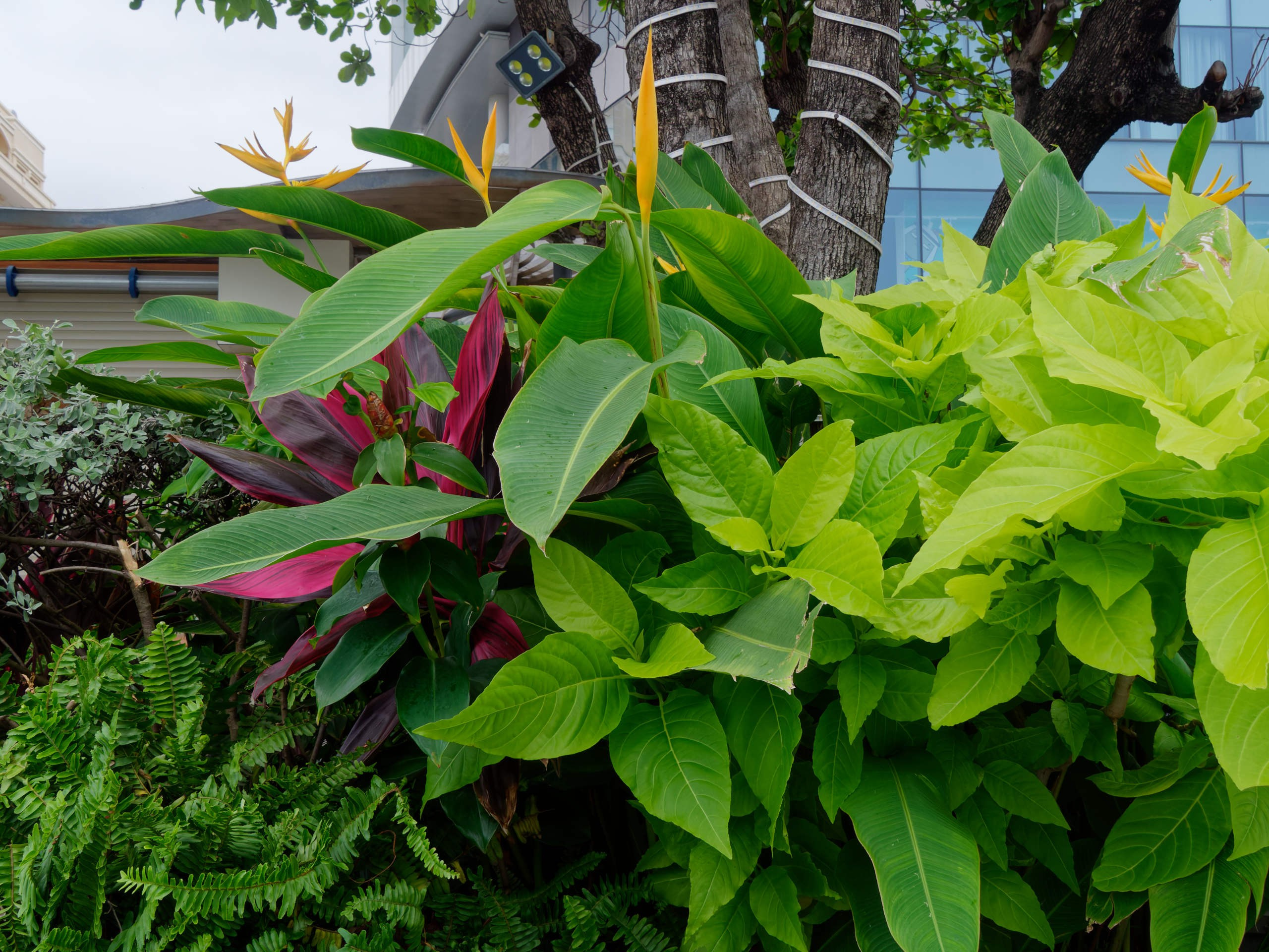 Нячанг 2025 (4). Избранные фотографии