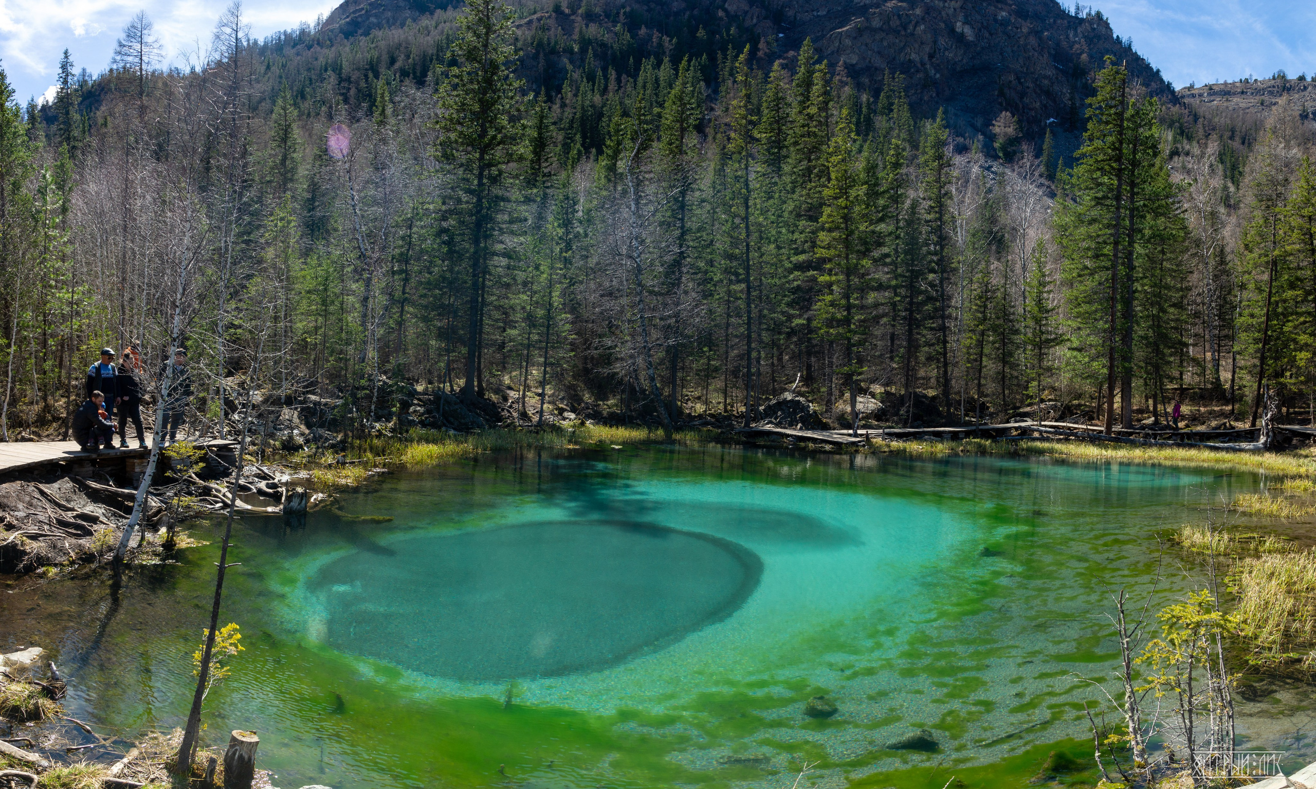 Алтай. Фотограф-путешественник Самойлов Максим «Sly Fox»
