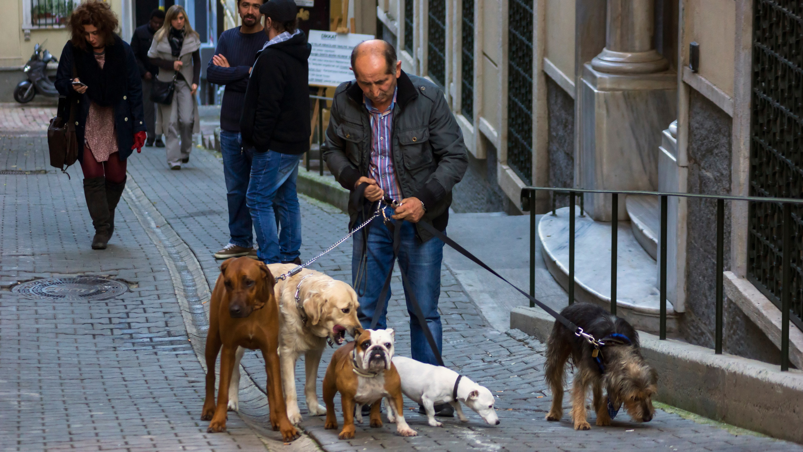 Стамбул. Фотограф-путешественник Самойлов Максим «Sly Fox»