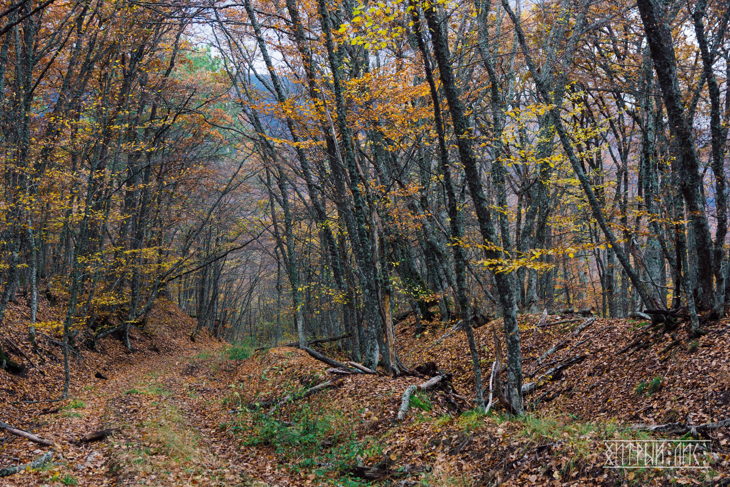Крым. Фотограф-путешественник Самойлов Максим «Sly Fox»