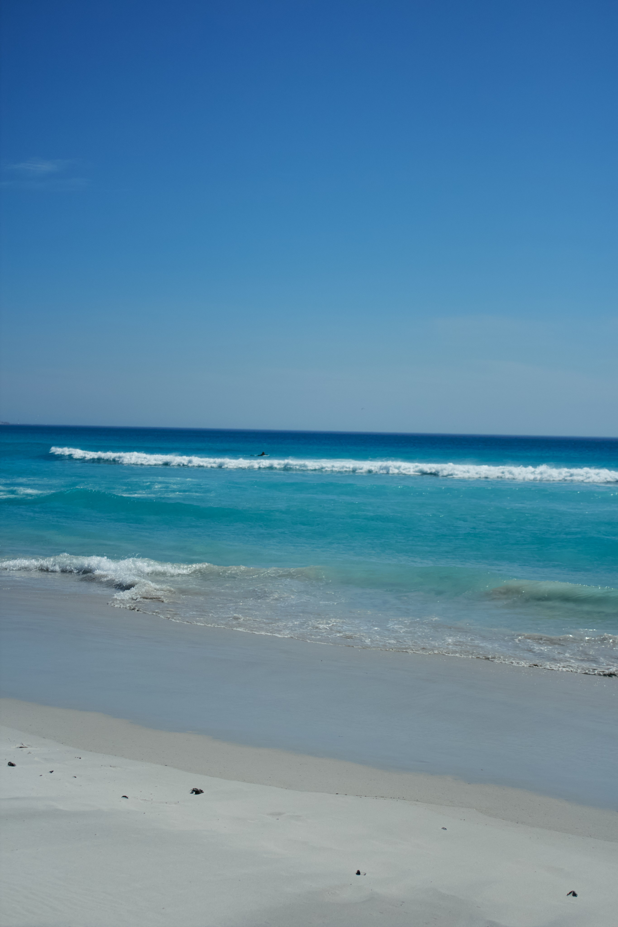 ЮАР. Профессиональный Фотограф во Владимире, в Москве и в Суздале — Полина Романычева