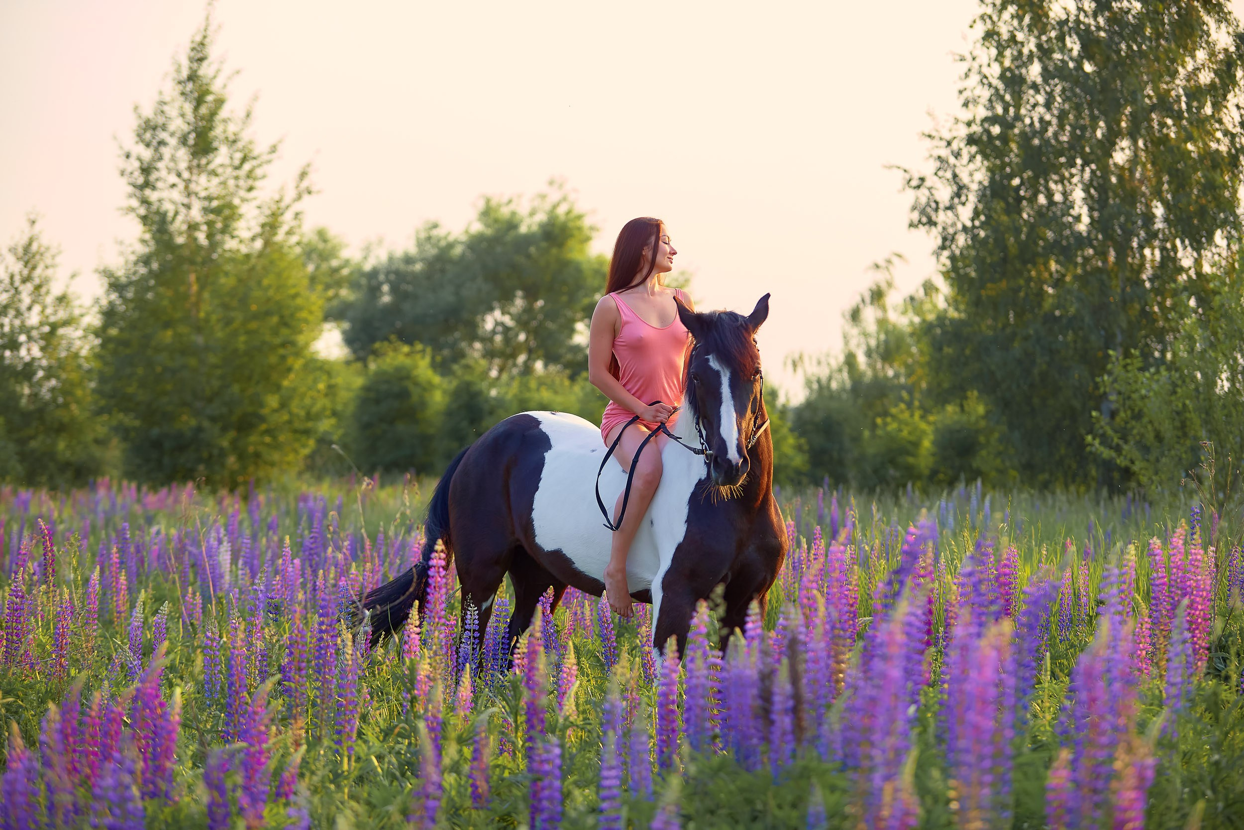 Фотосессия с лошадьми, Фотограф Михаил Семенов г. Ярославль