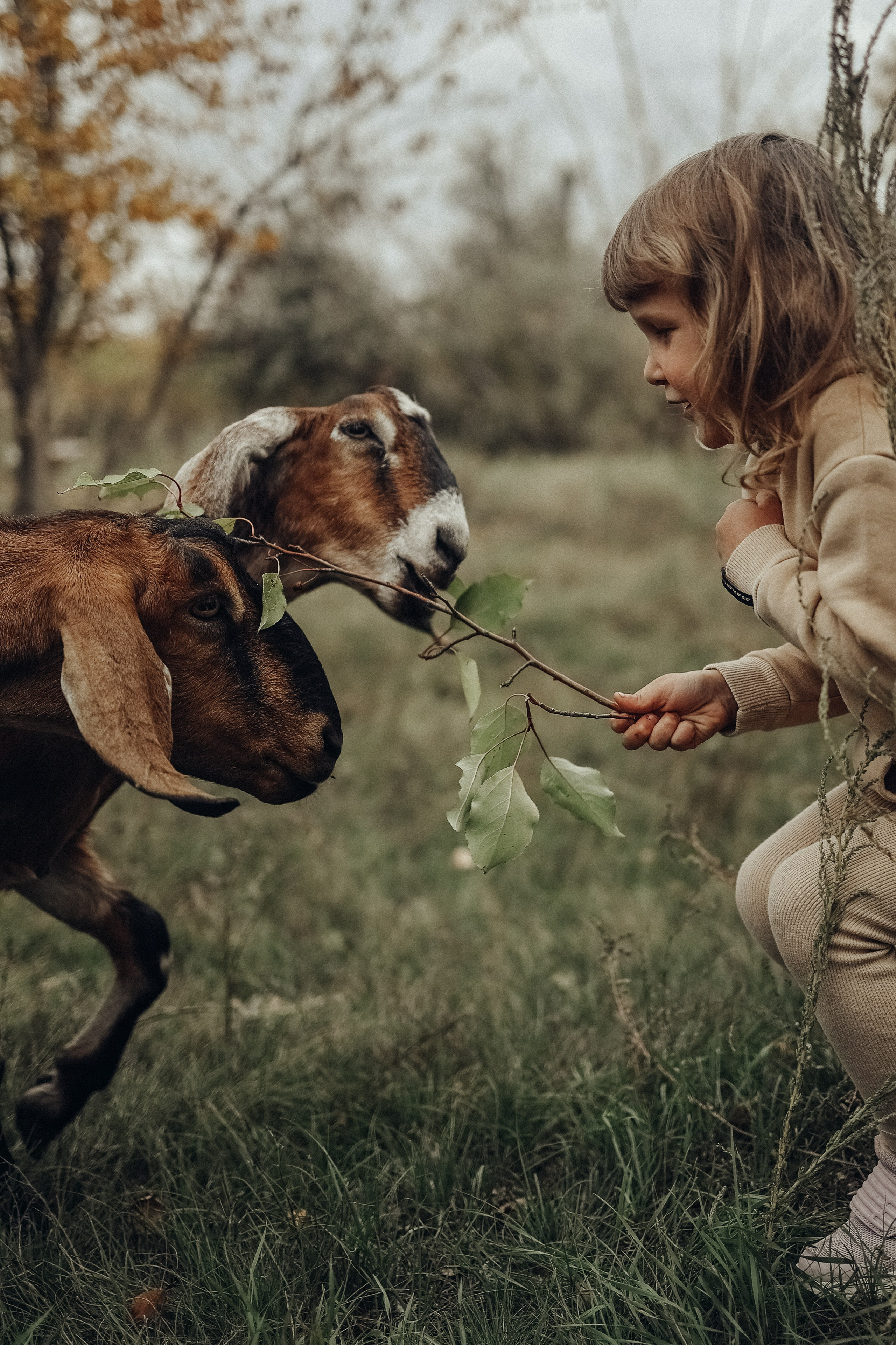 Семейная прогулочная съёмка. Фотограф в Астане Элина Багинская