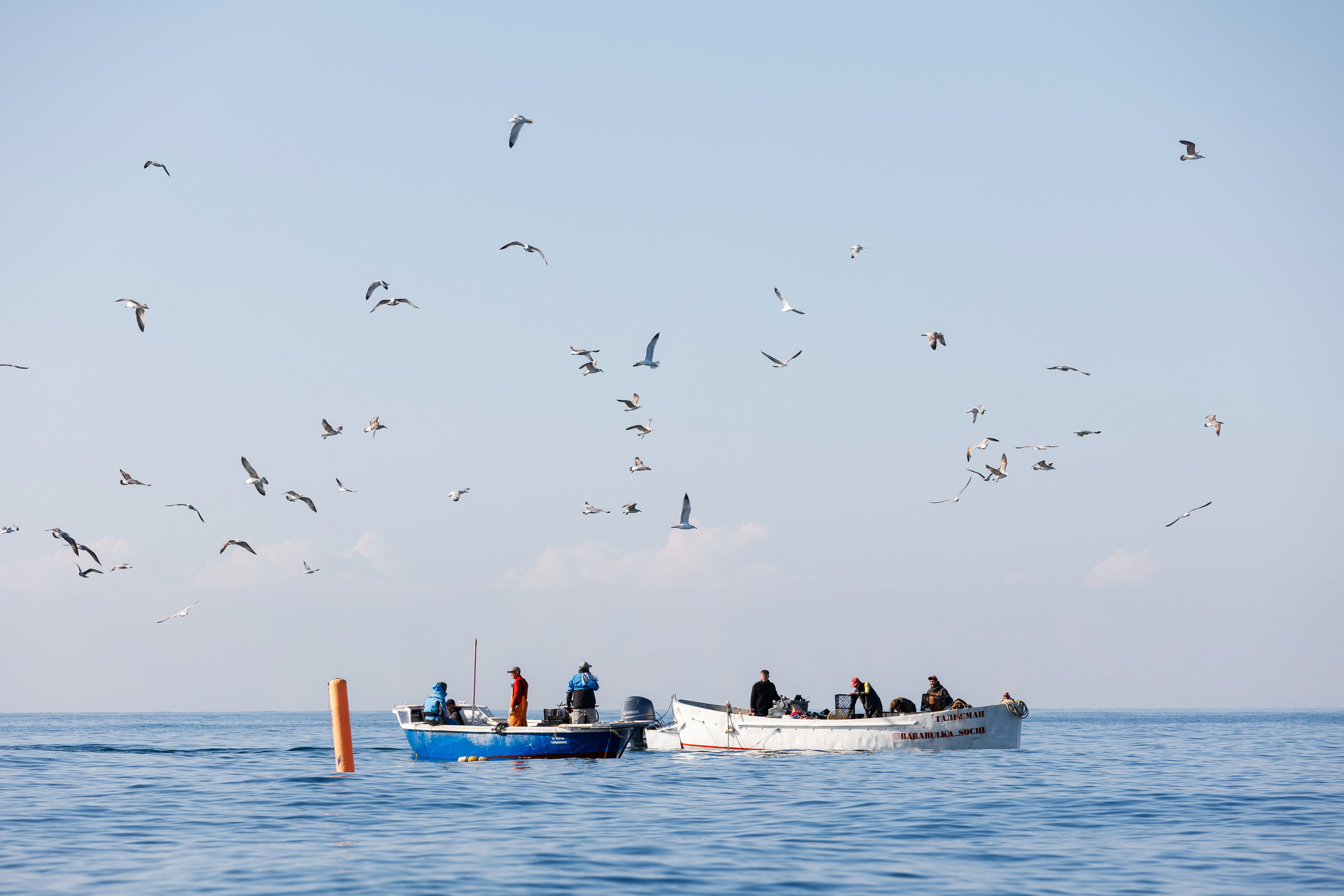 Регаты. Репортажный Фотограф в Сочи и Москве Алексей Орлов