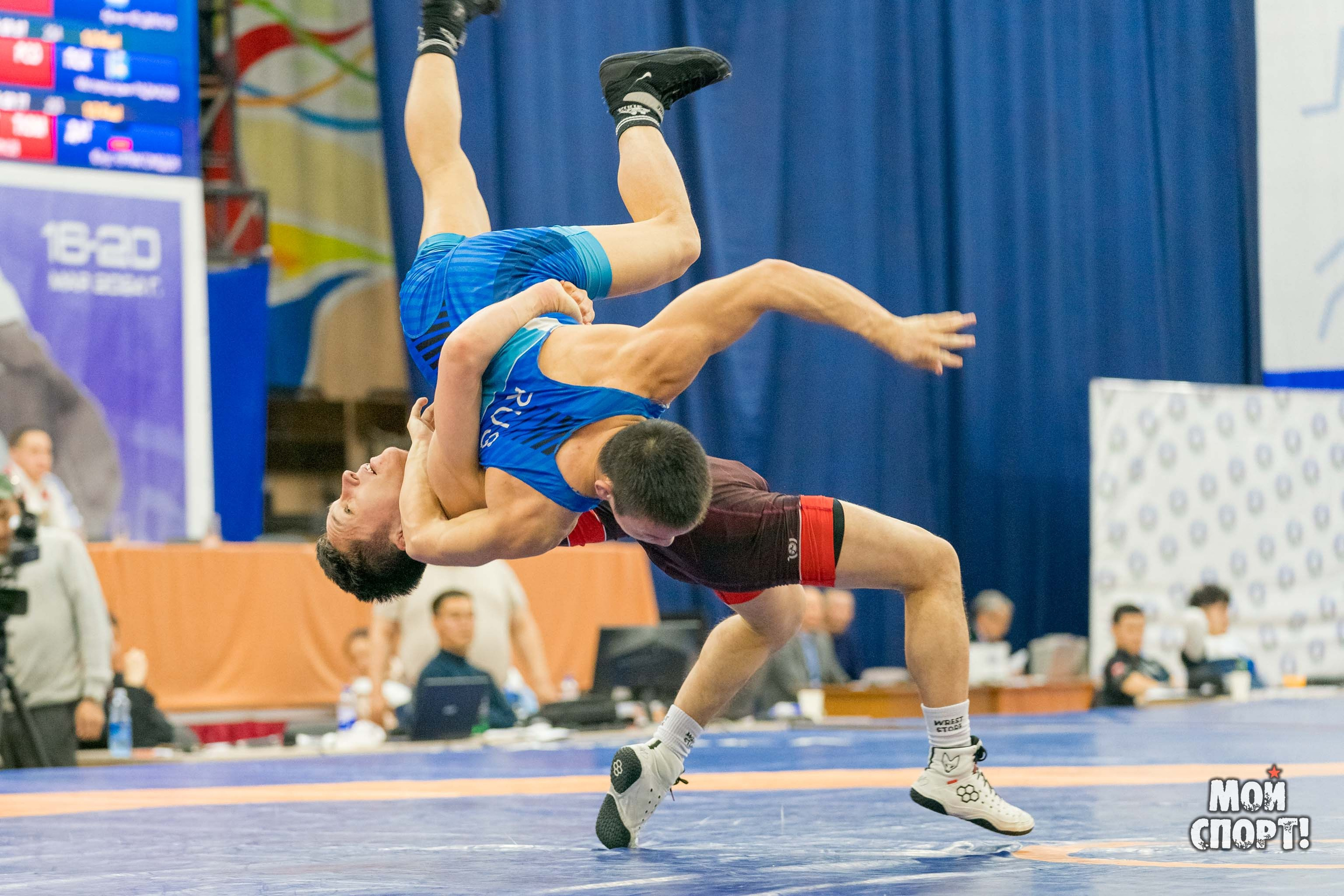 Чемпионат России среди студентов по спортивной борьбе 2024. ГРБ. Студия «Мой Спорт!» — все о спорте в Якутии