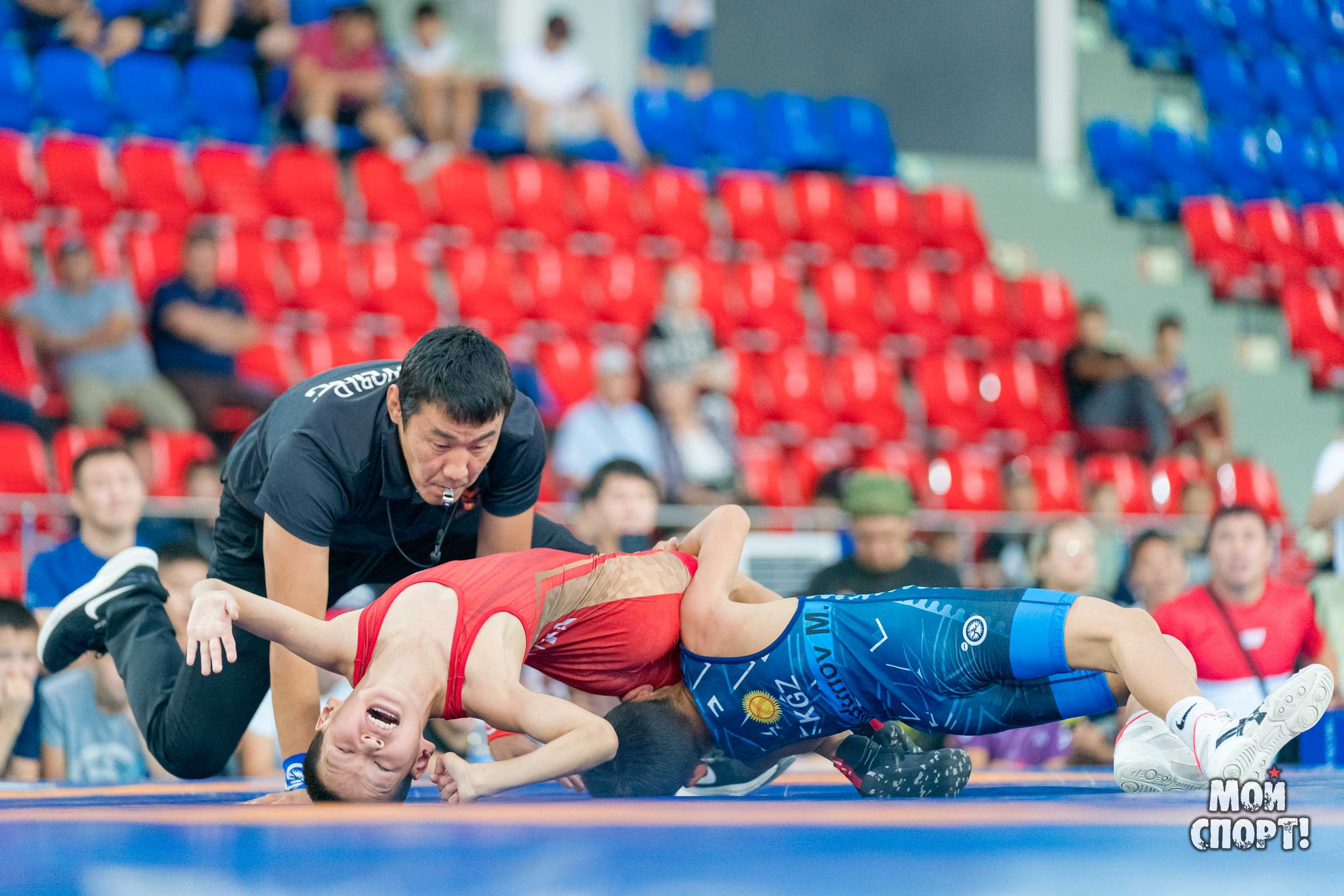 Соревнования по вольной борьбе в честь П. П. Пинигина. Студия «Мой Спорт!» — все о спорте в Якутии