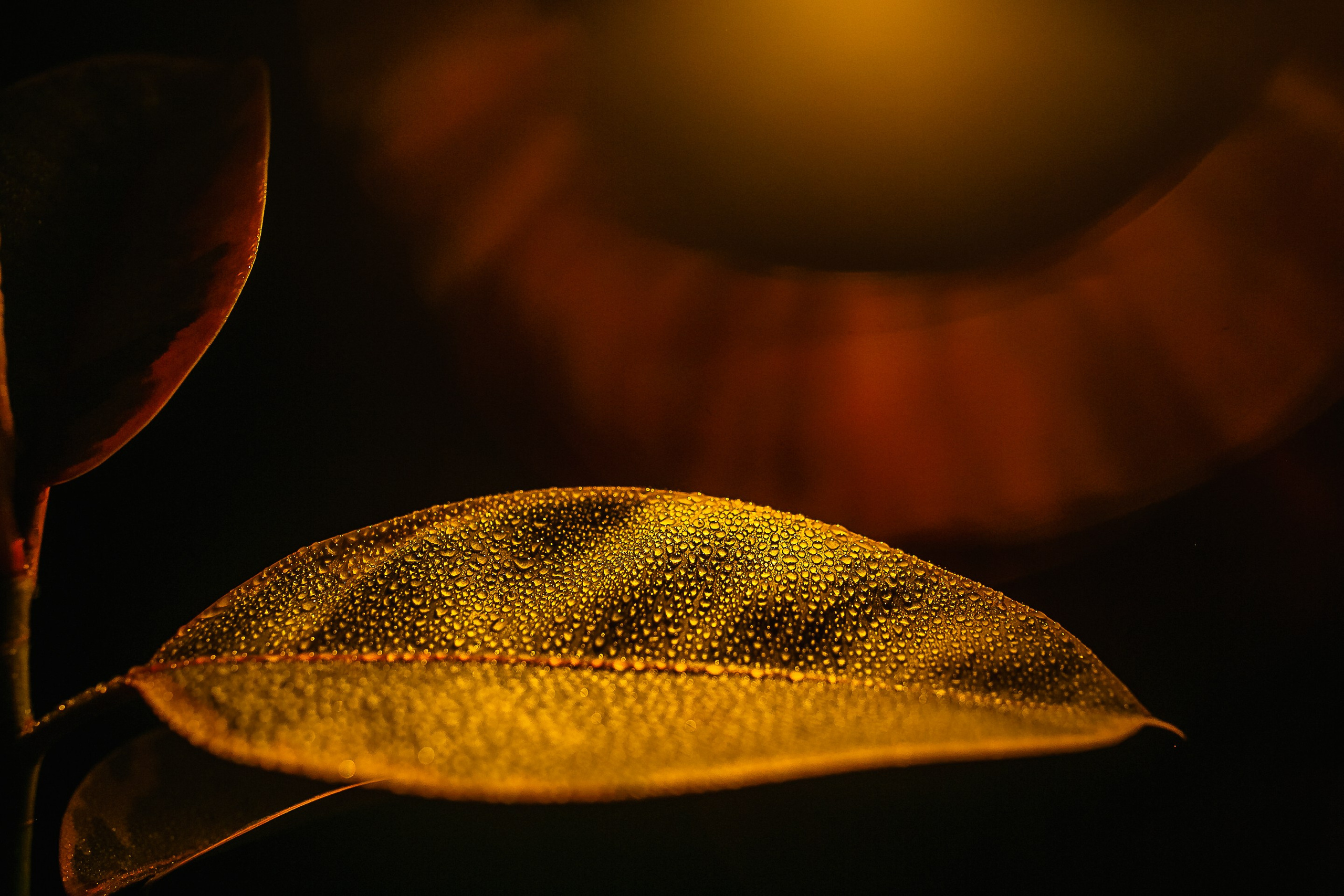 Разное. Главная