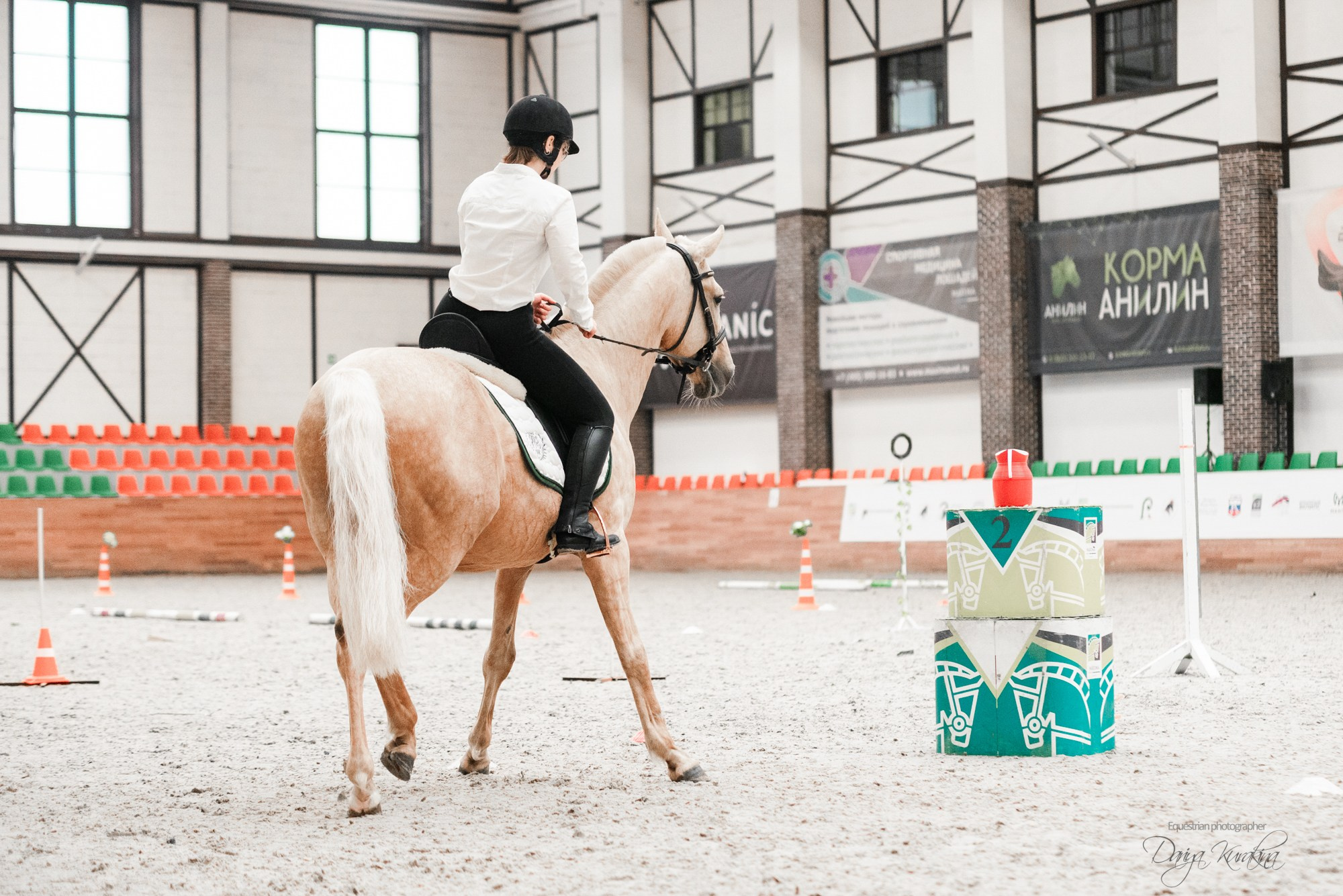 8-я международная выставка Конная Россия. Конный фотограф Куракина Дарья • Фотосессии с лошадьми