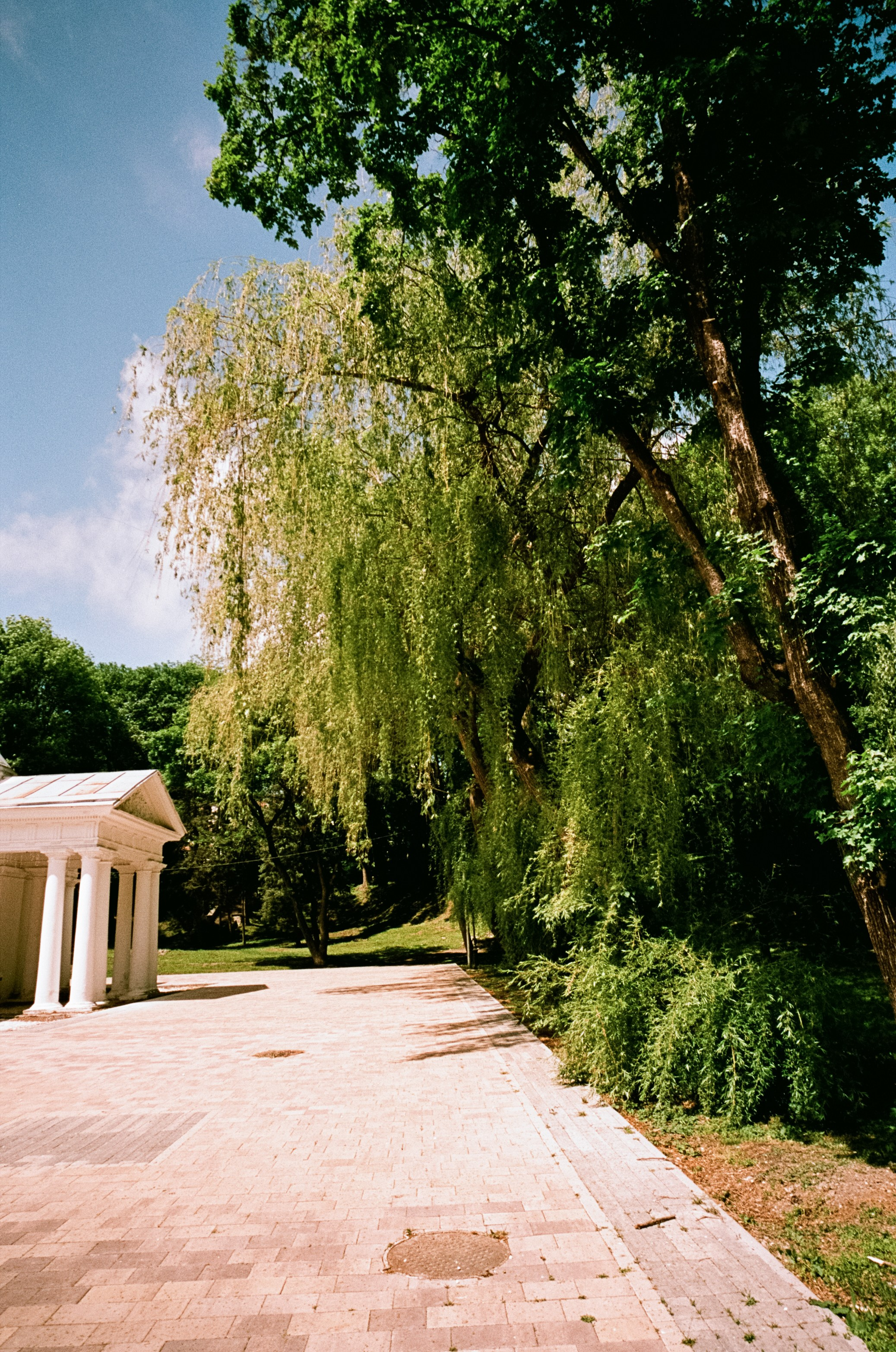 6 мая Парк Ессентуки / Voigtlander BESSA-T / Kodak Aerocolor IV