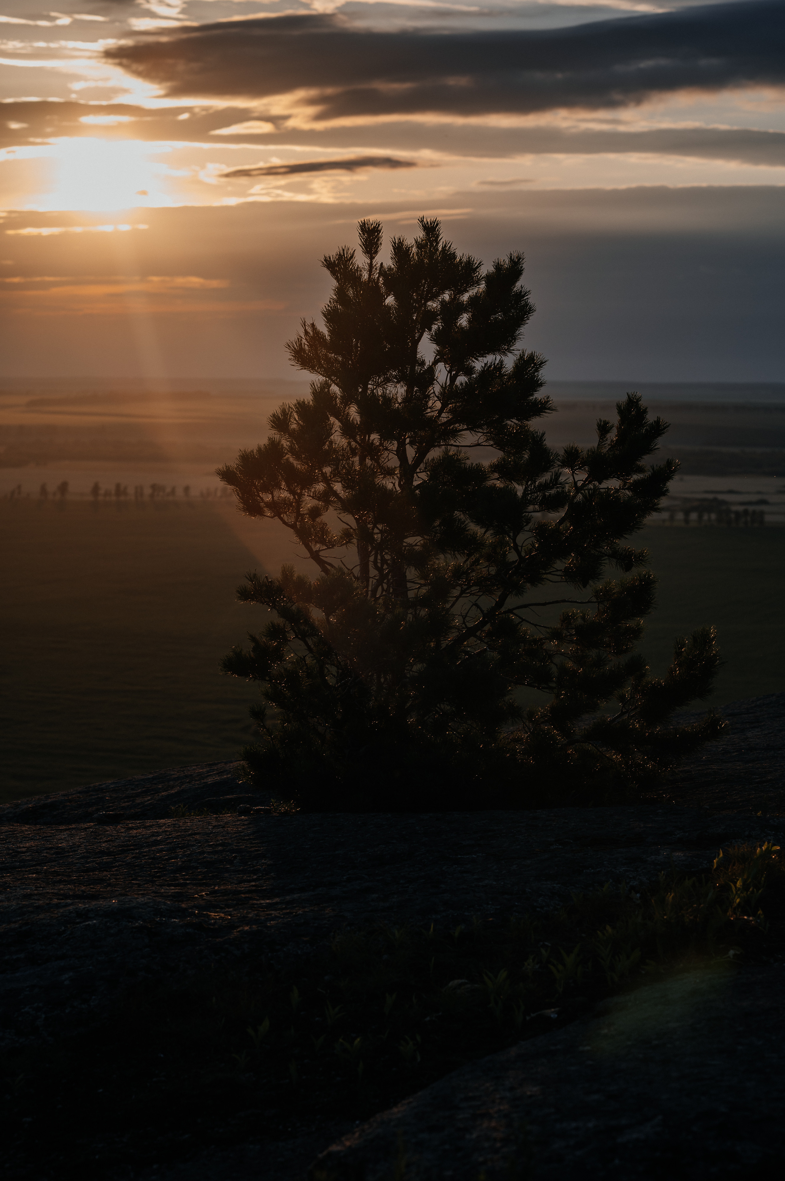 Love Story. Юлия Влад. Свадебная  съемка на Алтае