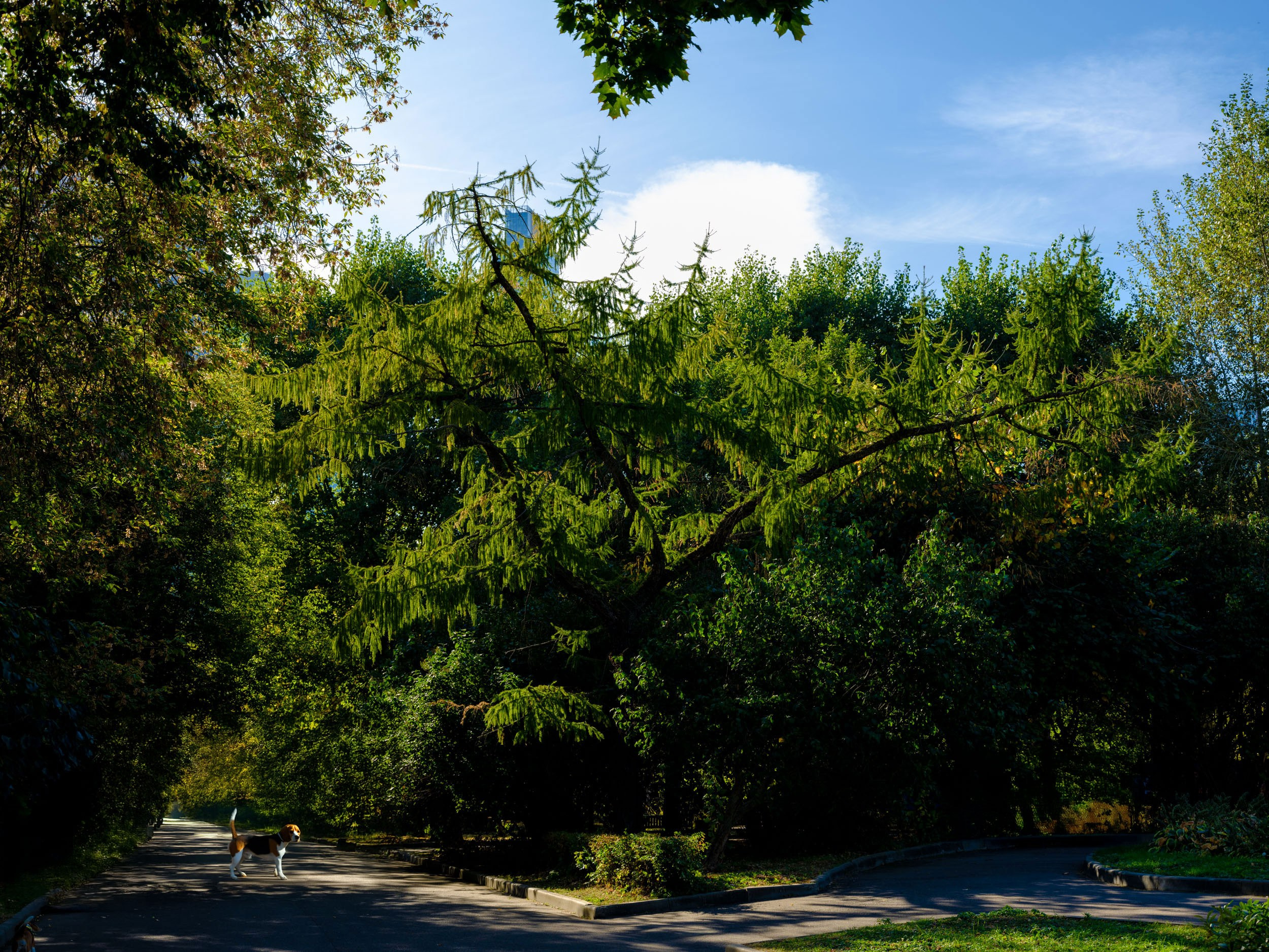 Fujifilm 50sII. Никита Демидов. Nikita Demidov