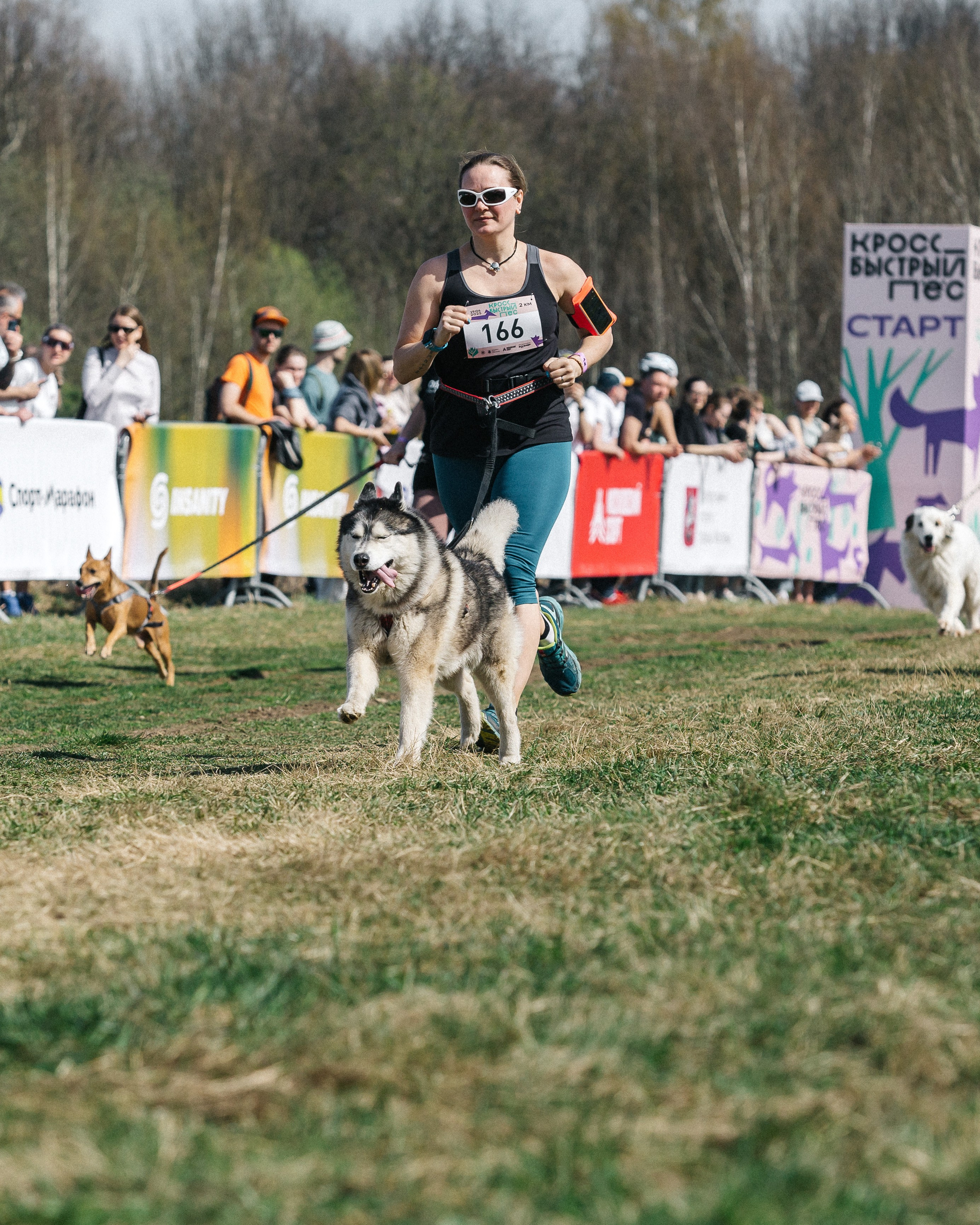 Кросс «Быстрый пёс» 2025. Репортажный фотограф в Москве