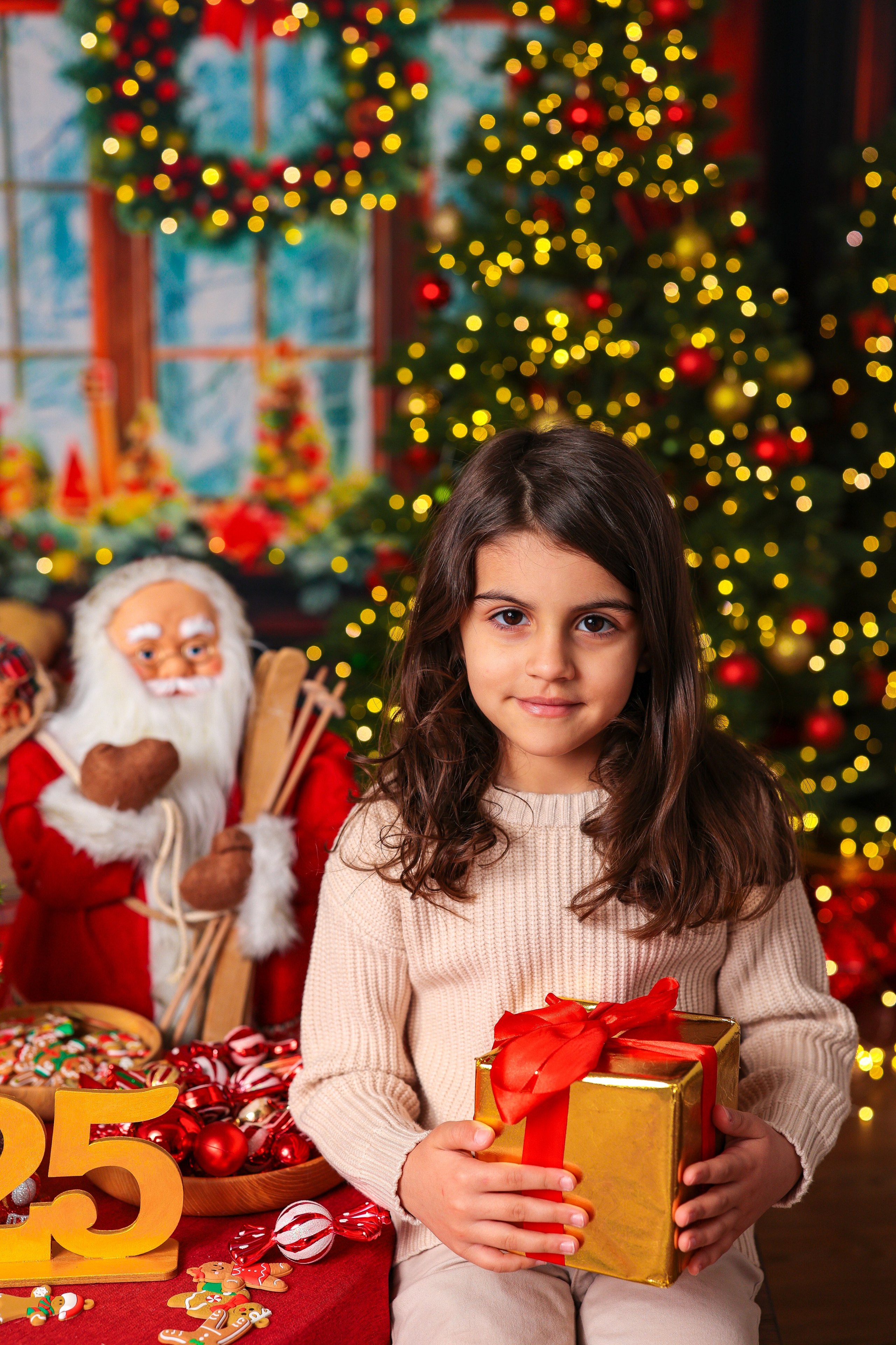 Антураж НОВЫЙ ГОД 2025